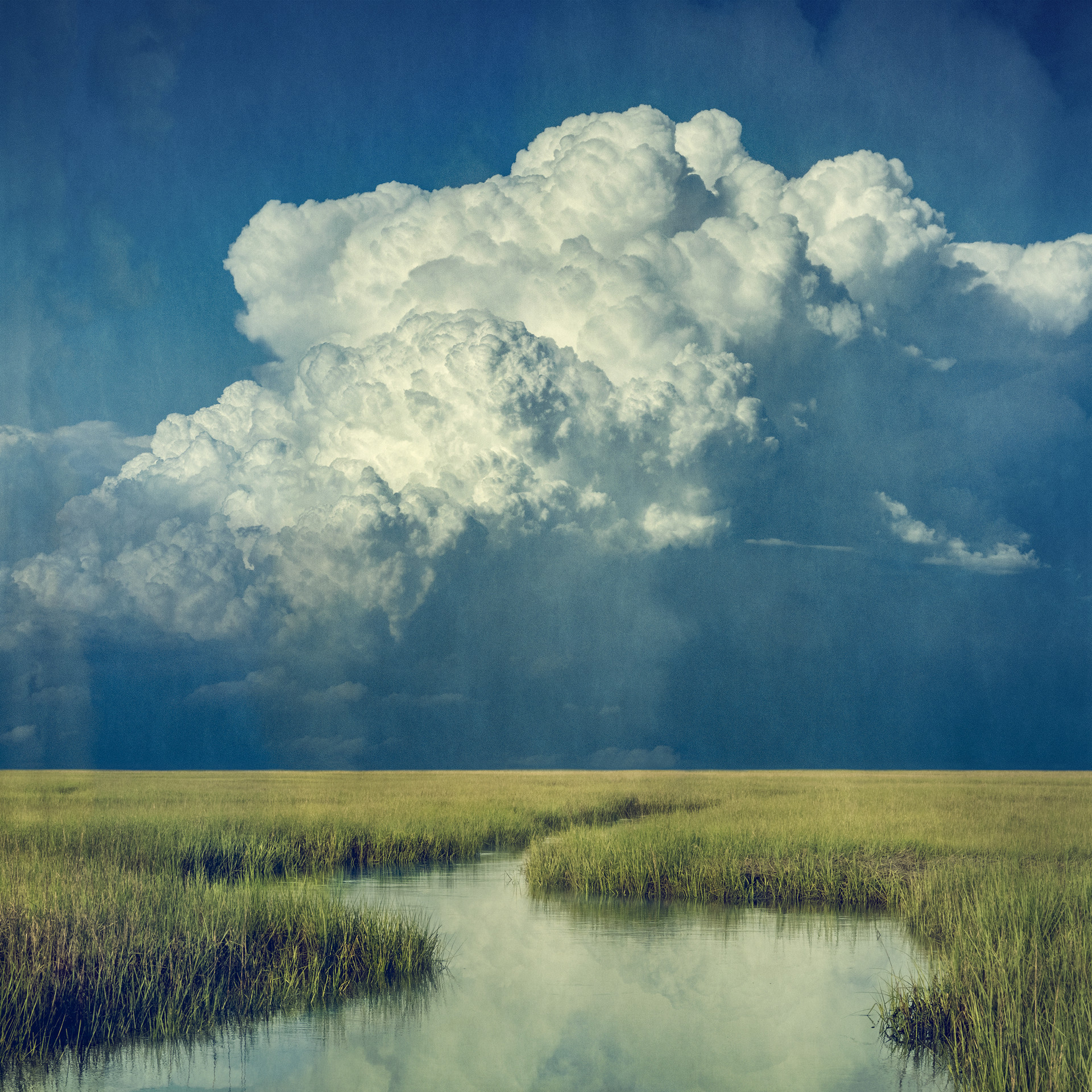 Marsh Cloud by Thomas Hager