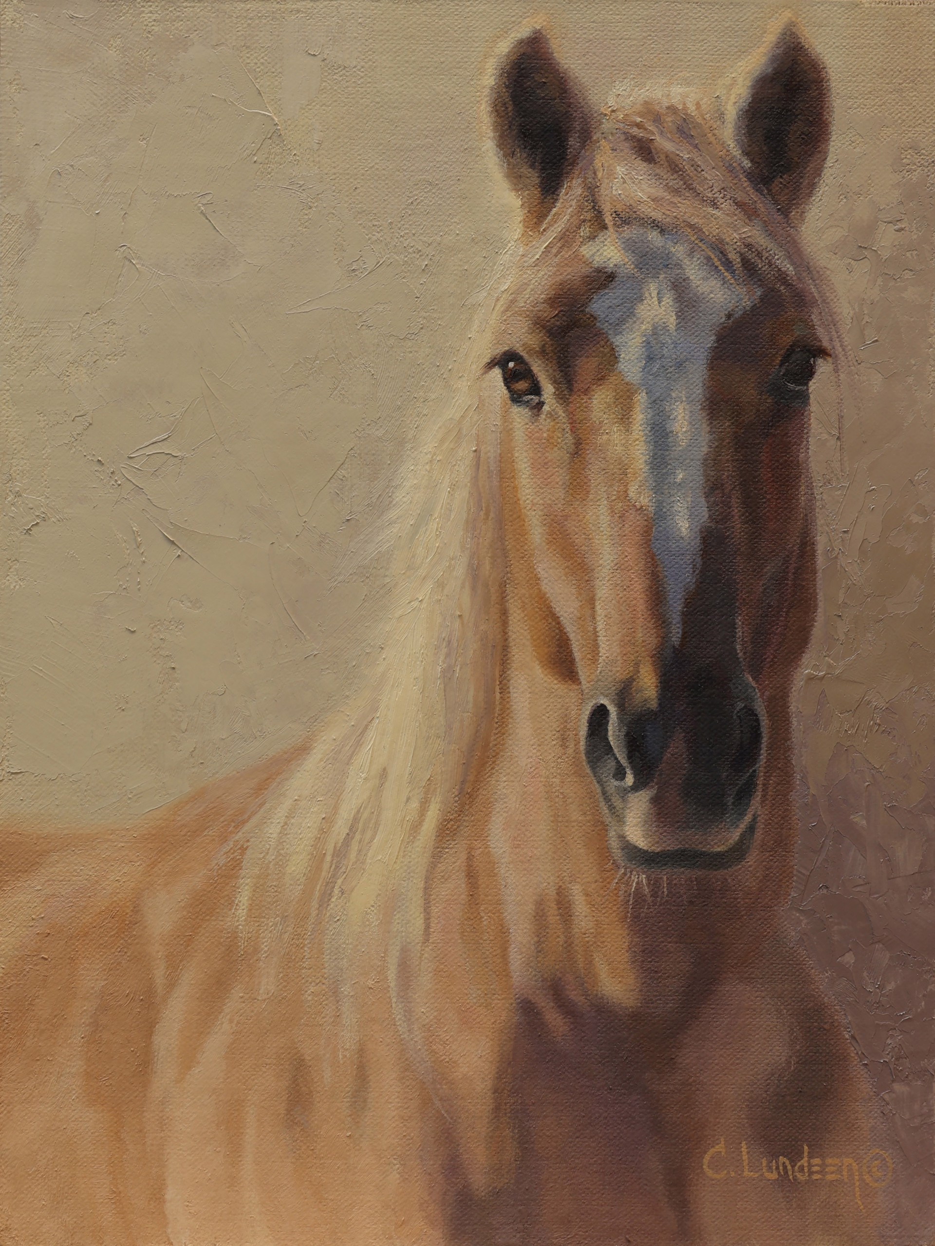Wild Beauty - Wild Horse by Carol Lundeen