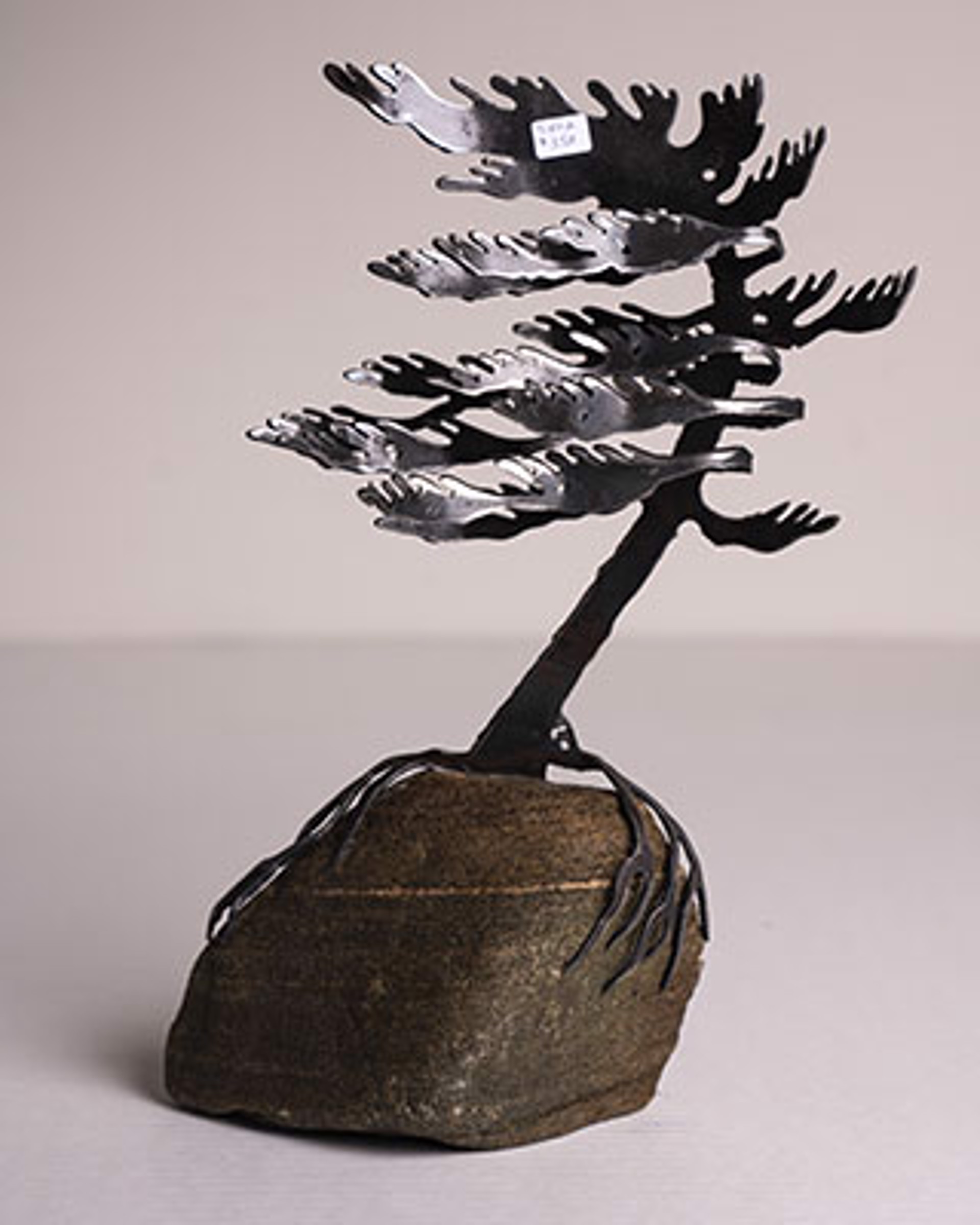 Windswept Pine 5802 by Cathy Mark