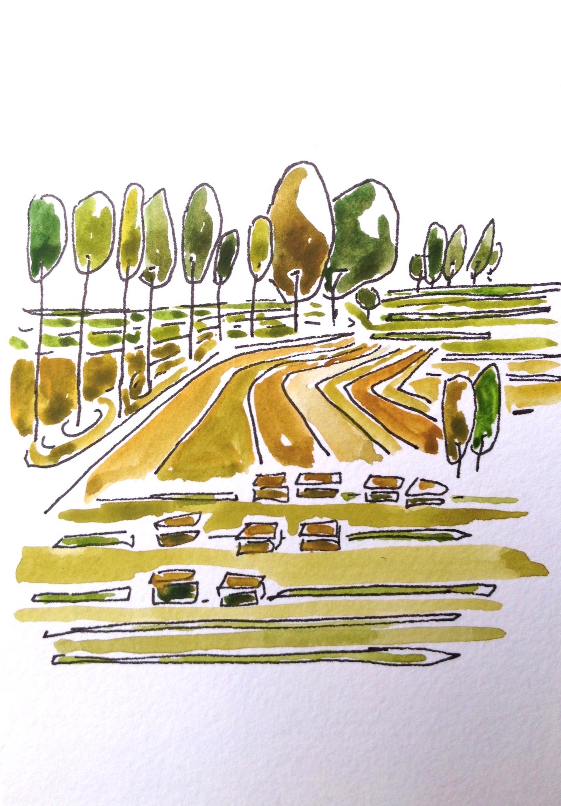 Brown Fields and Poplars (Ilpendam) by Rachael Van Dyke