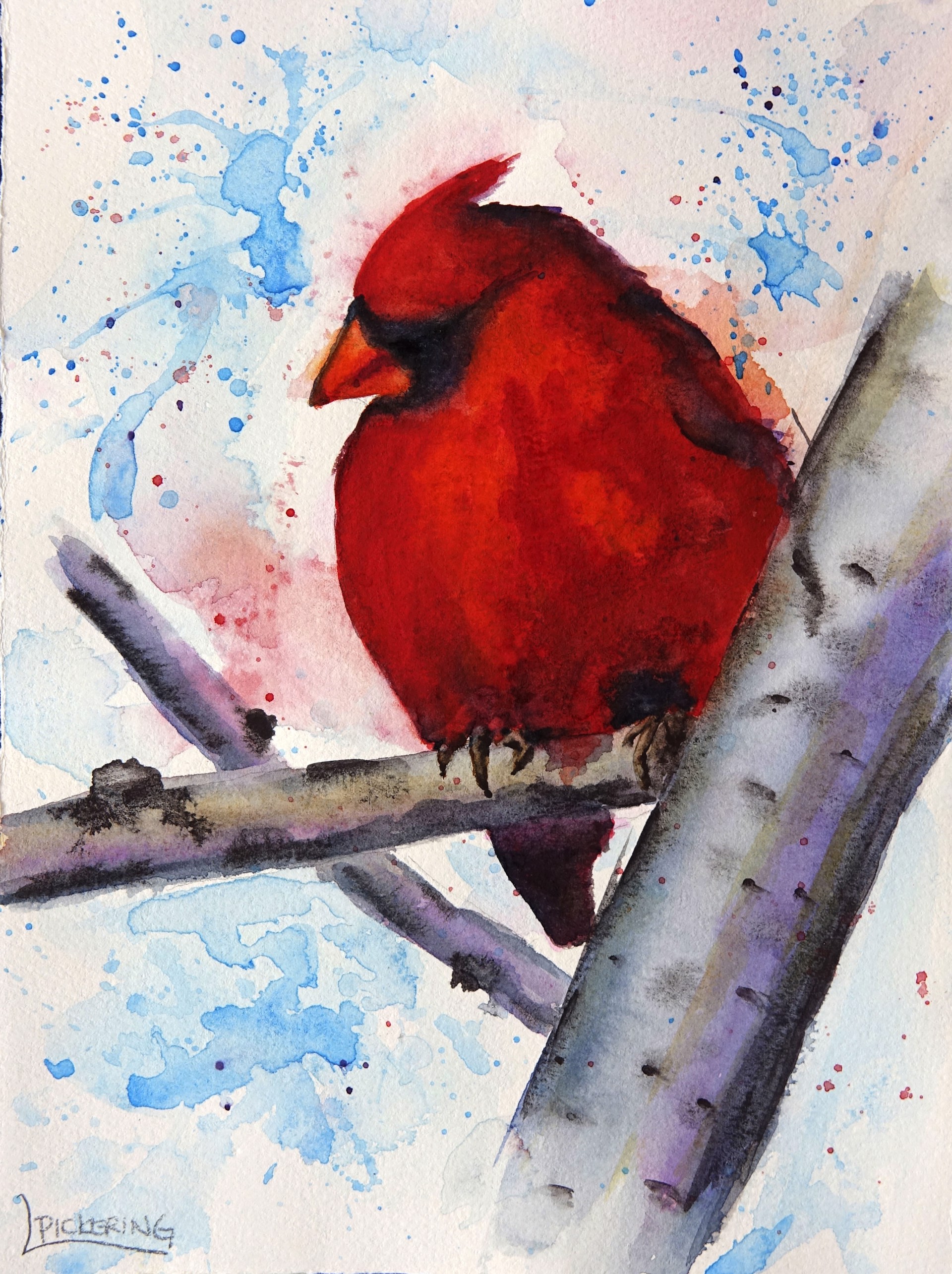 Red Cardinal on Birch by Laura Pickering
