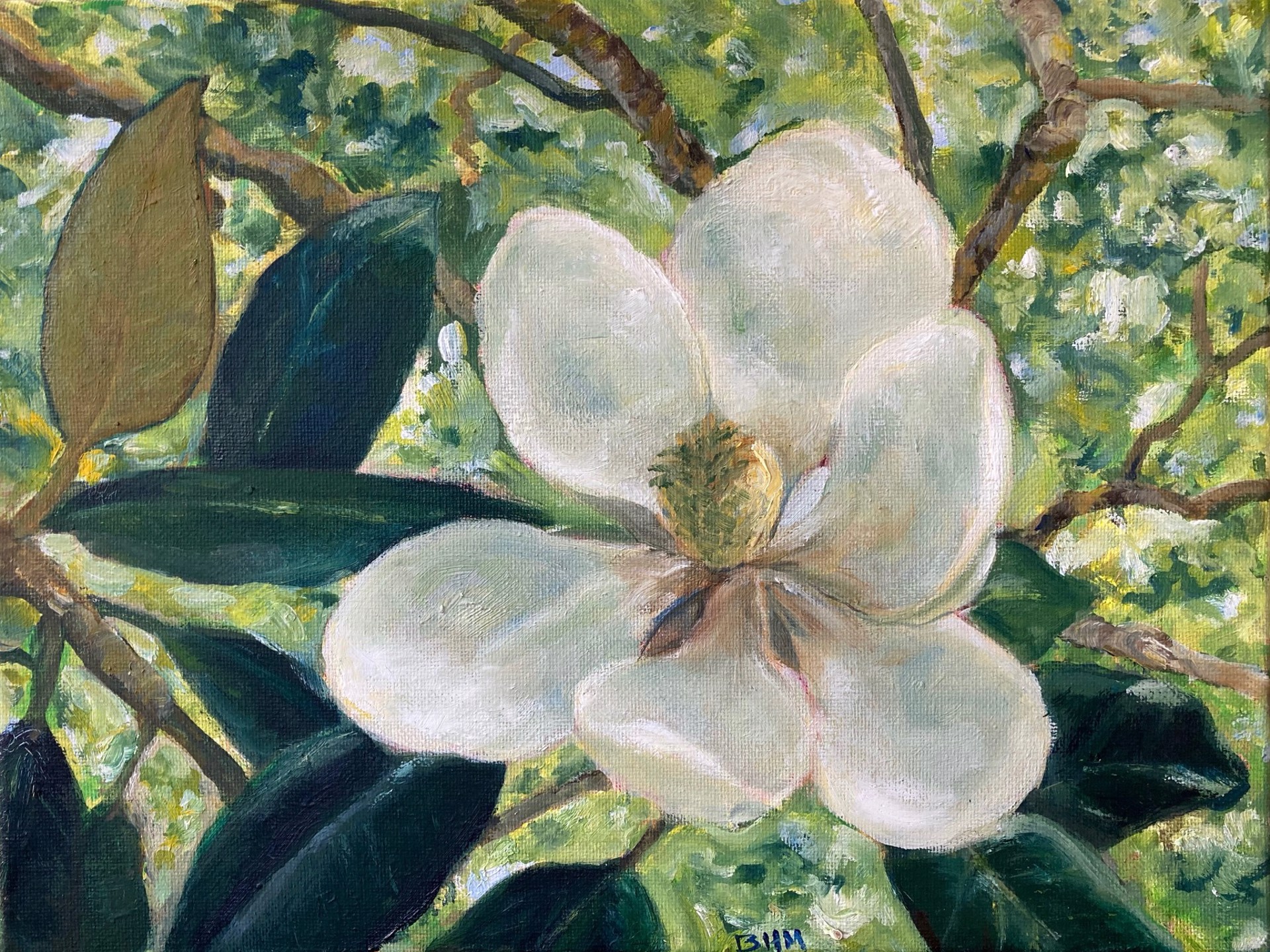 Magnolia Blossom #2 by Betty McGlamery