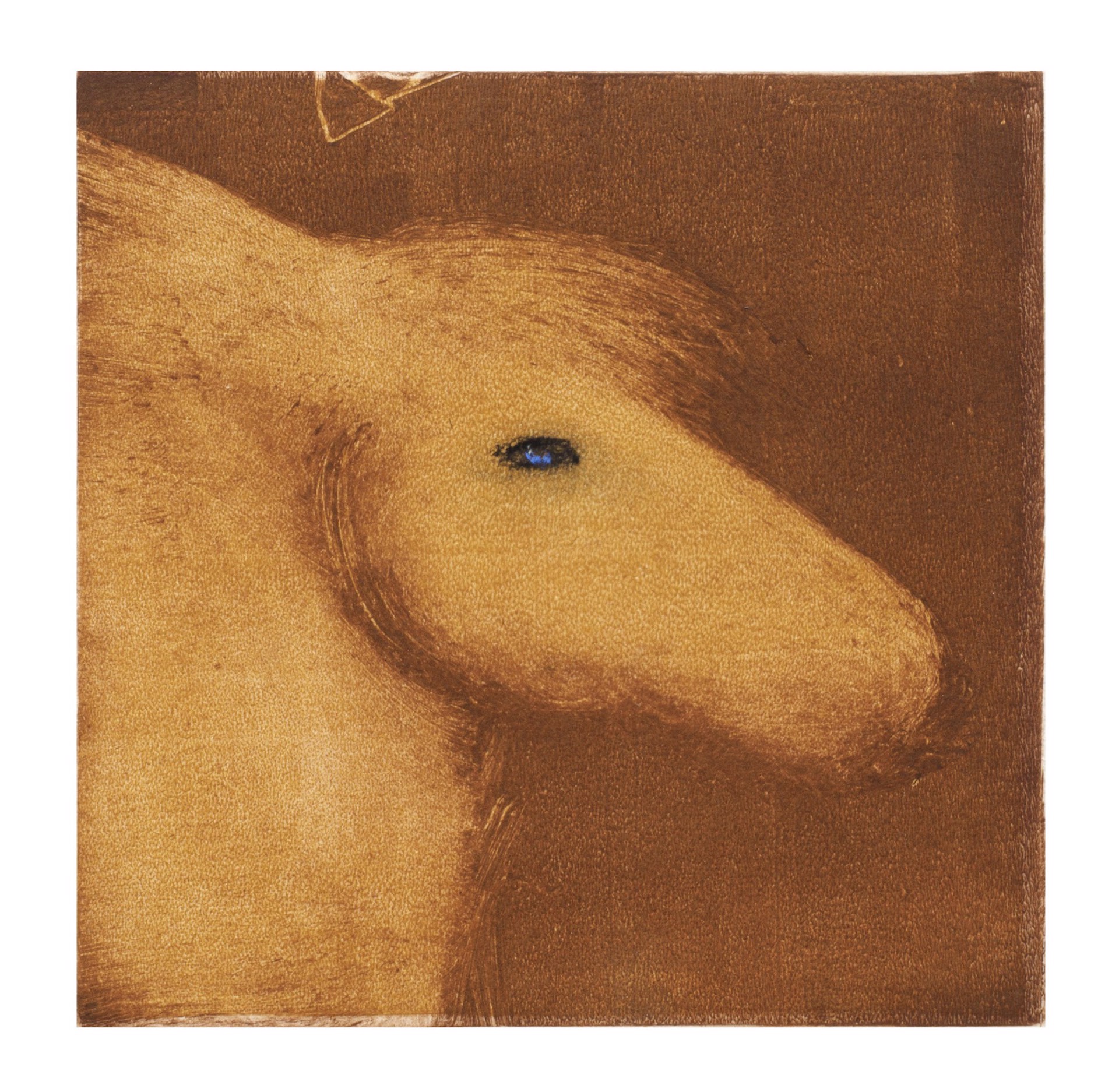 Blue Eyed Pony by Carole LaRoche