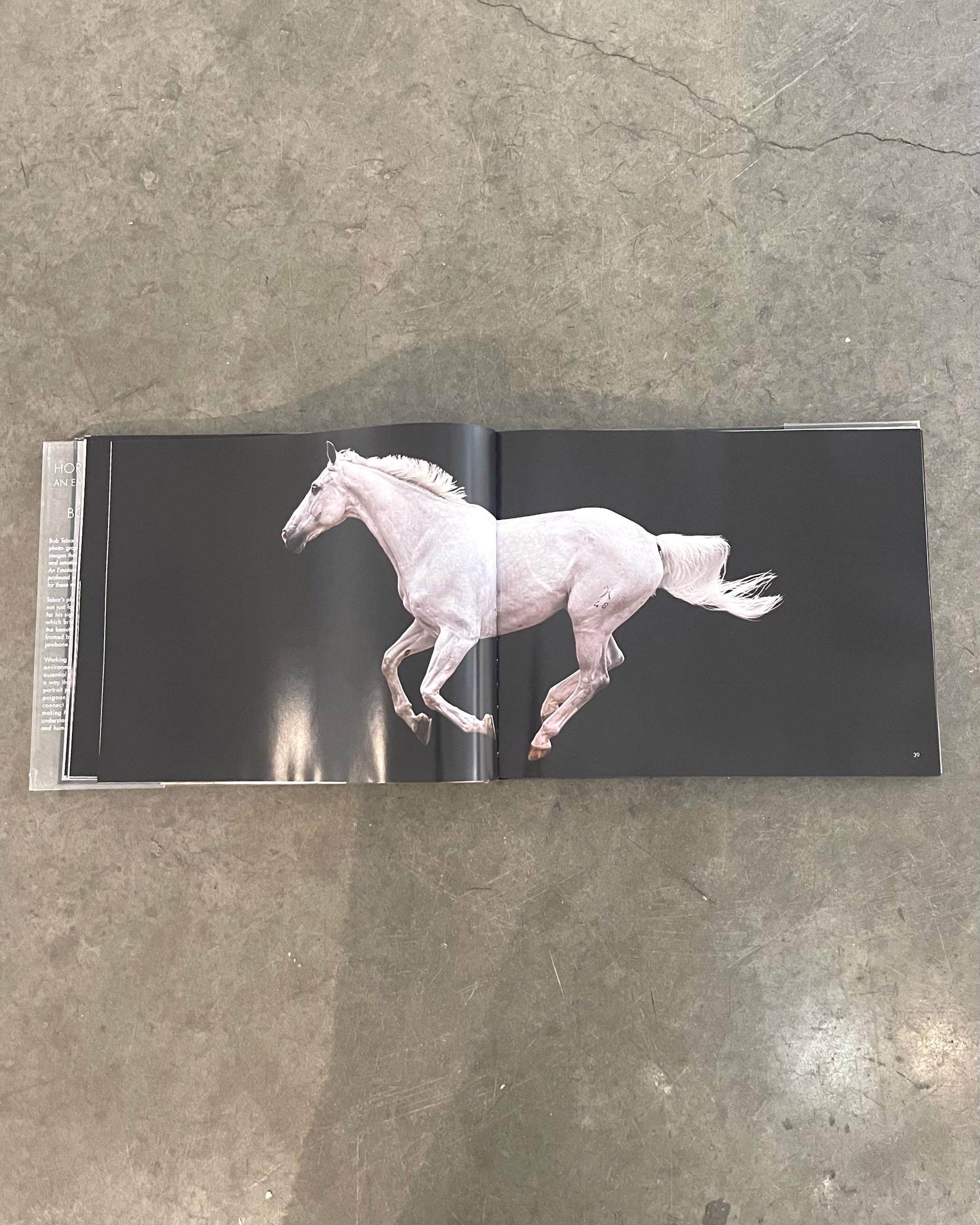 Horse/Human by Bob Tabor