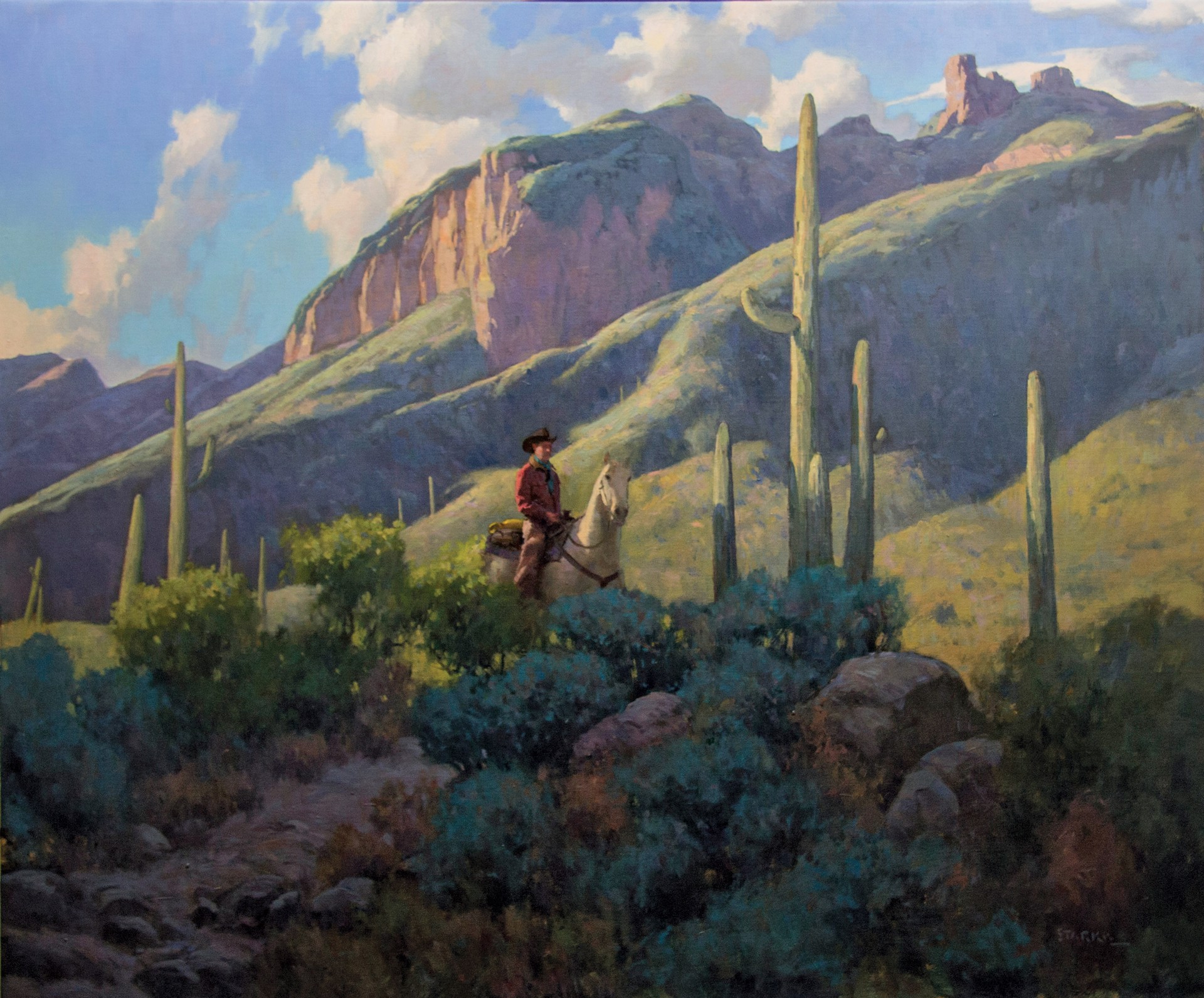 Evening Shadows in the Catalinas by Phil Starke