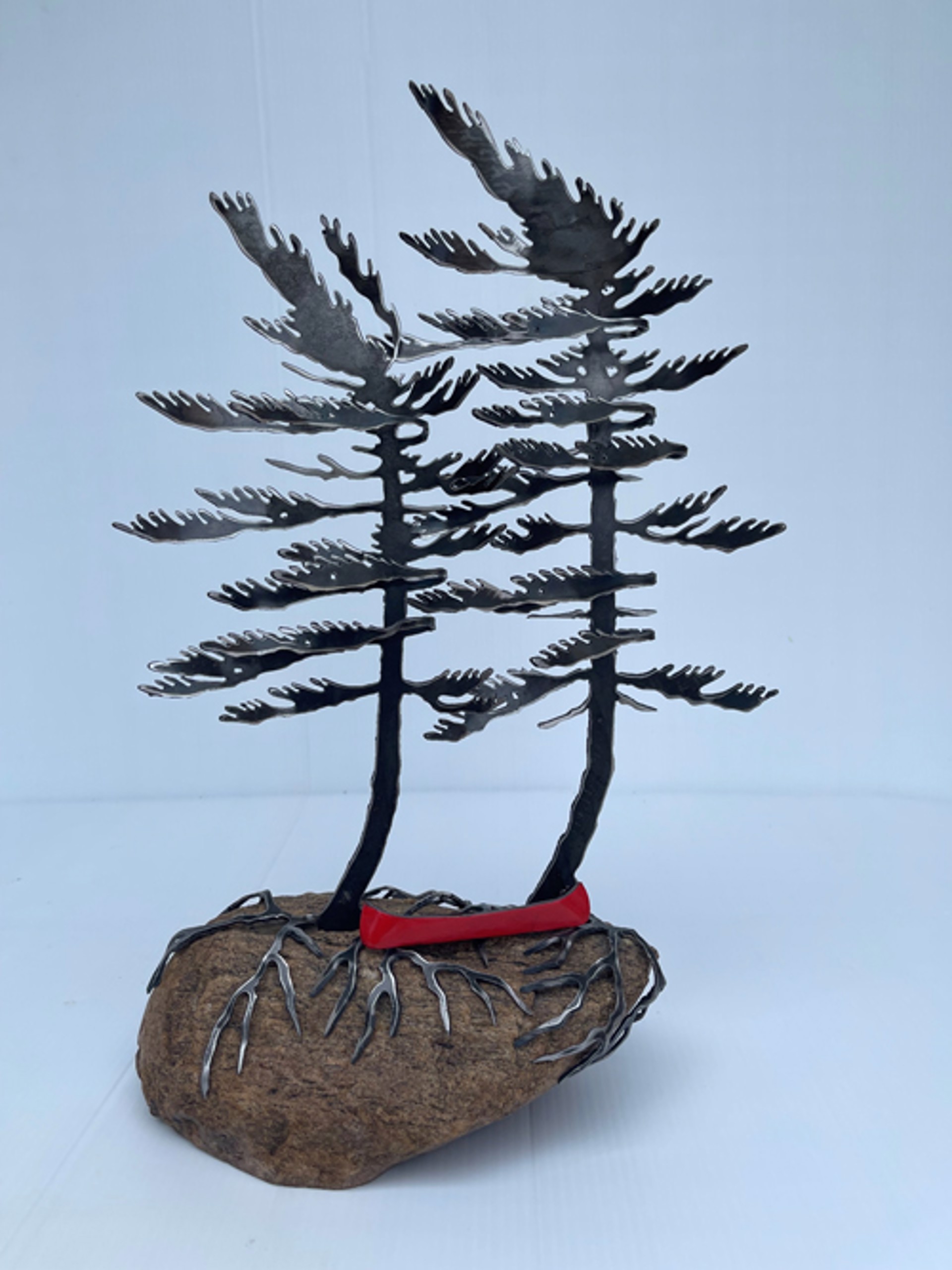 Two Tree Red Canoe on Rock by Cathy Mark