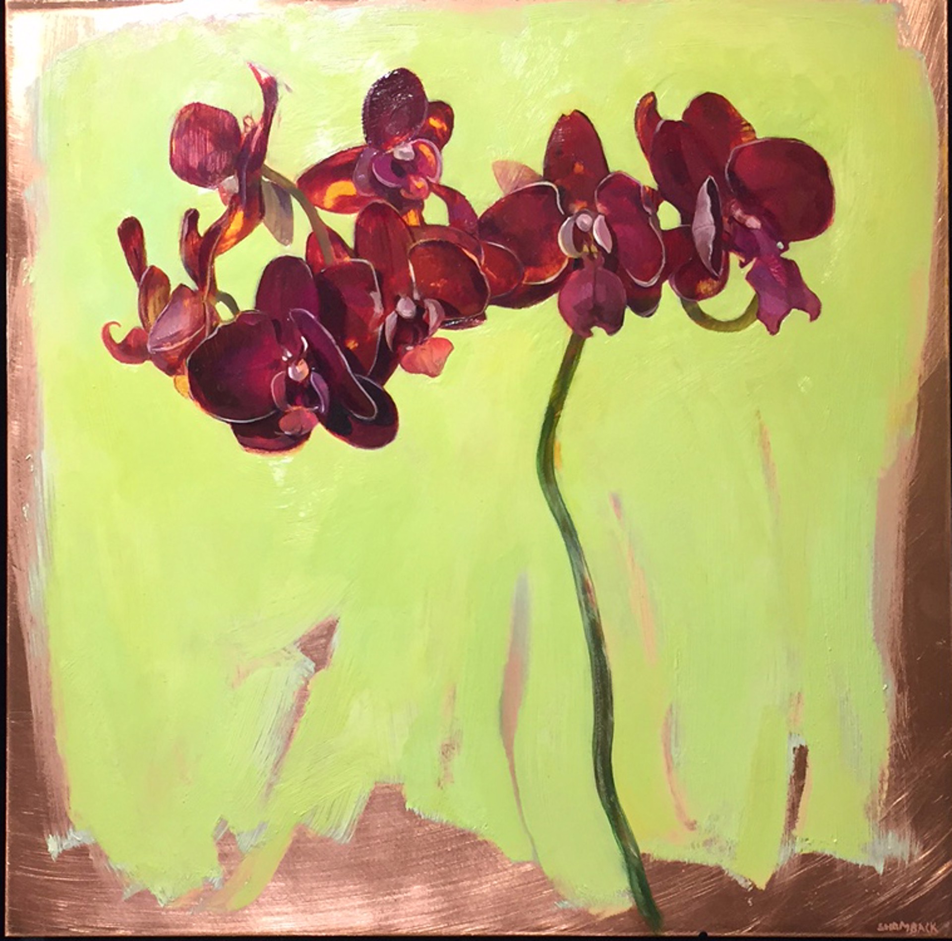 Violet Orchid by Benjamin J. Shamback