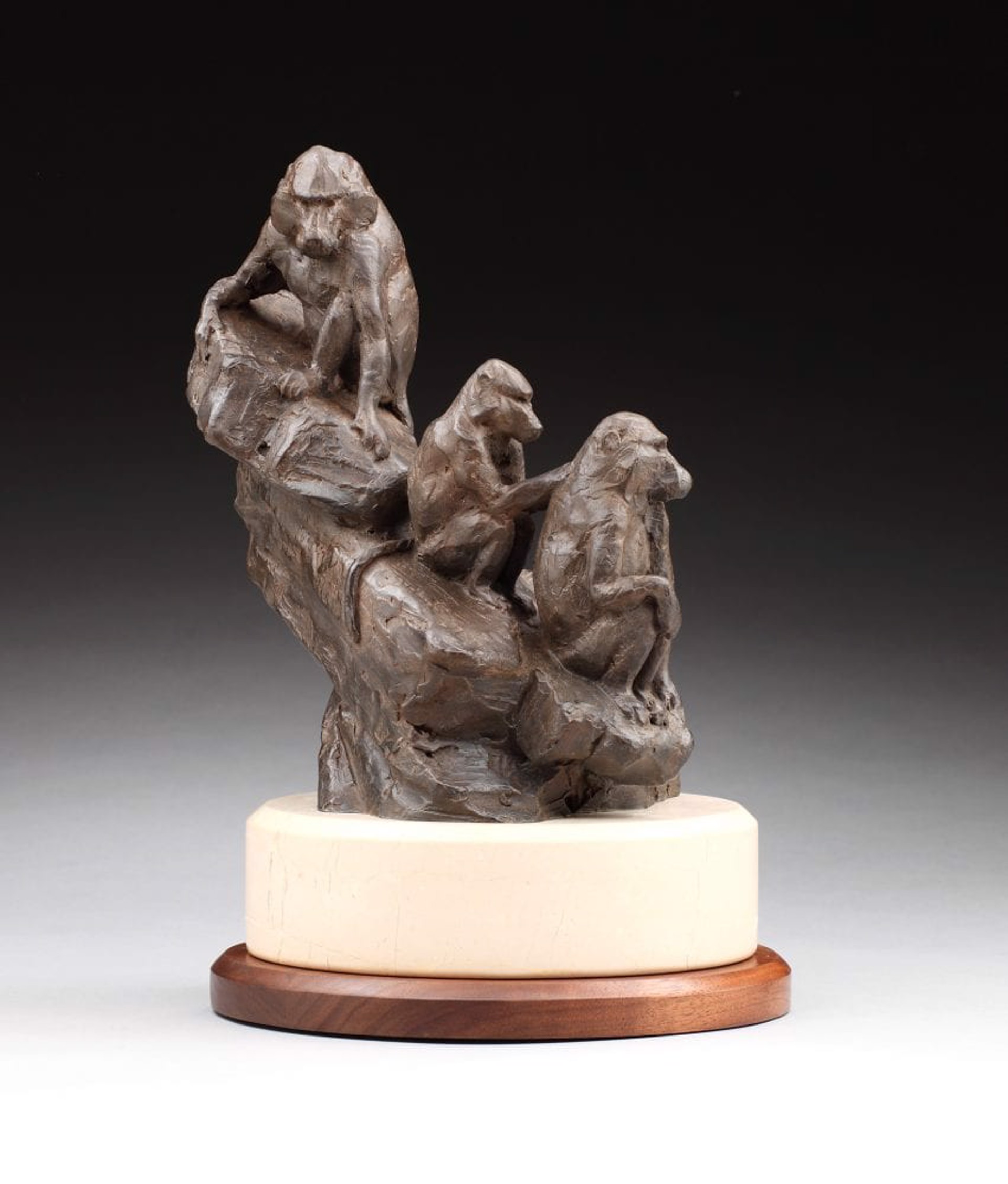 Dog Monkeys Olive Baboons by Daniel Glanz (sculptor)