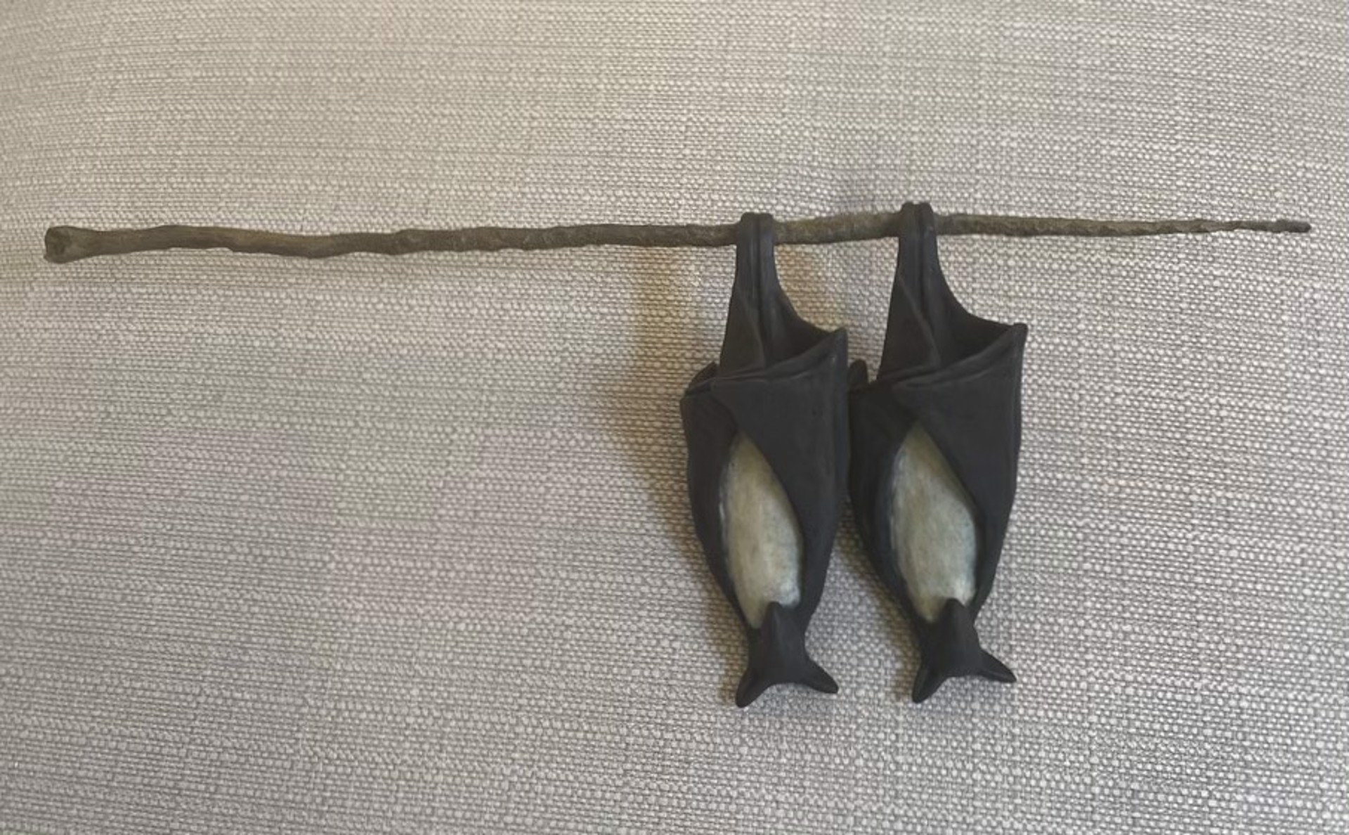 2 Temple Bats on a Branch by Copper Tritscheller