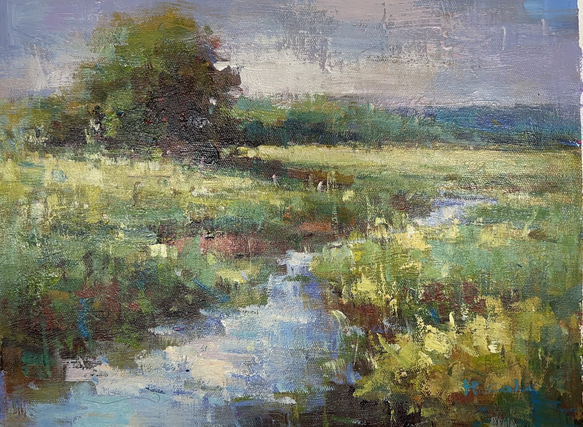 CREEK IN A MEADOW by H COLE