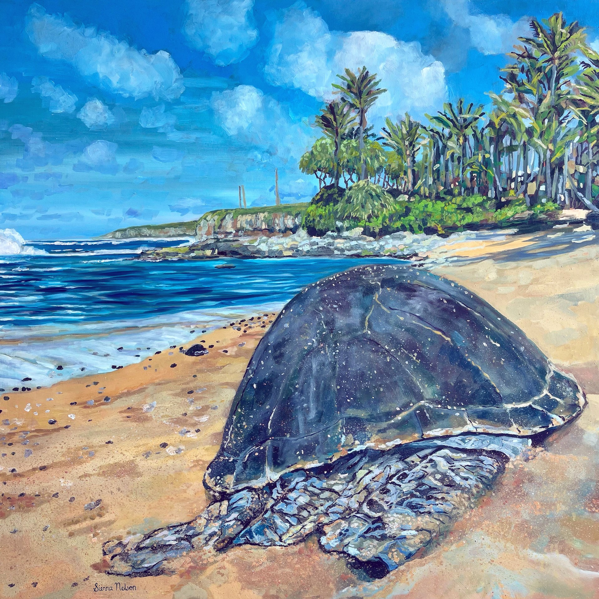 Turtle Tales At Luau Cove by Sienna Nelson