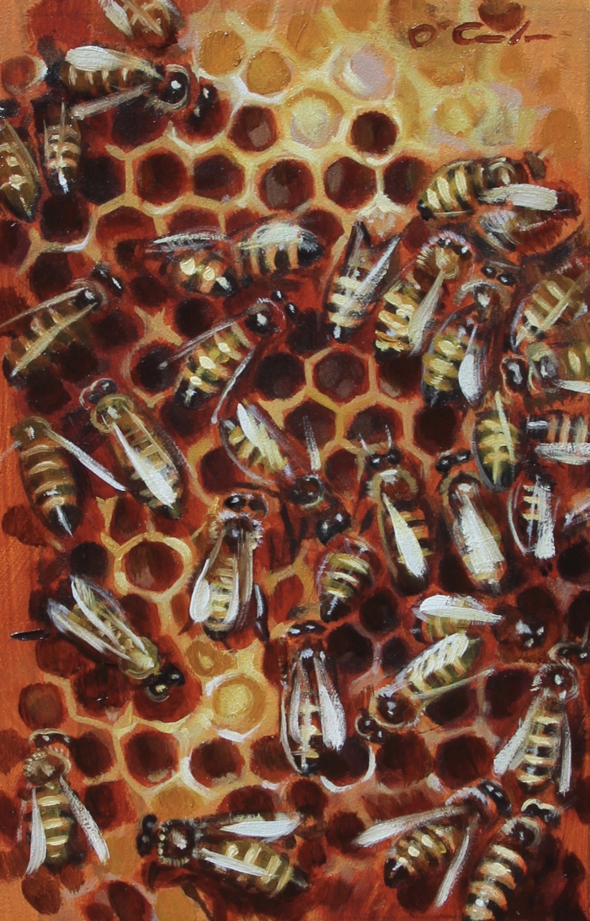 A Bee Sea by Jennifer O'Cualain