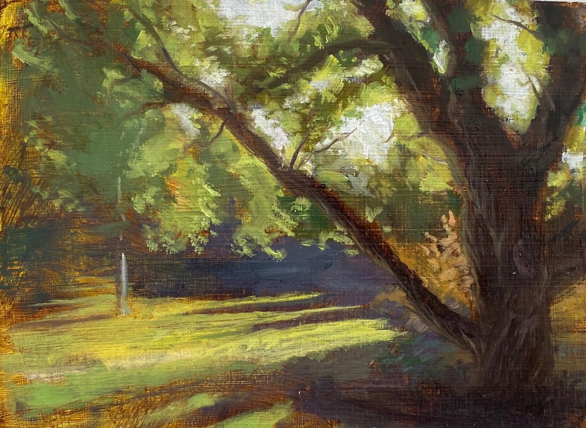 Morning Light Through the Trees by Christopher Clark