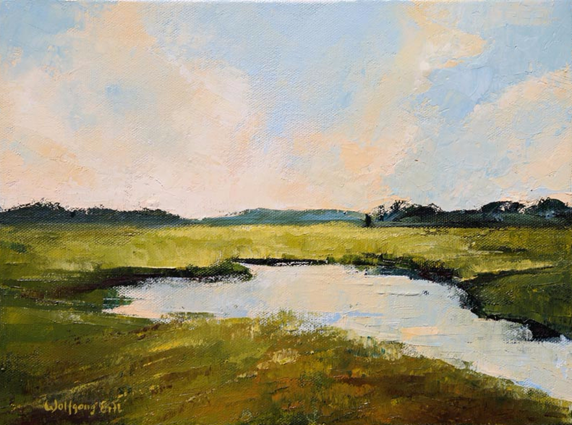 Rye Marsh Evening by Wolfgang Ertl