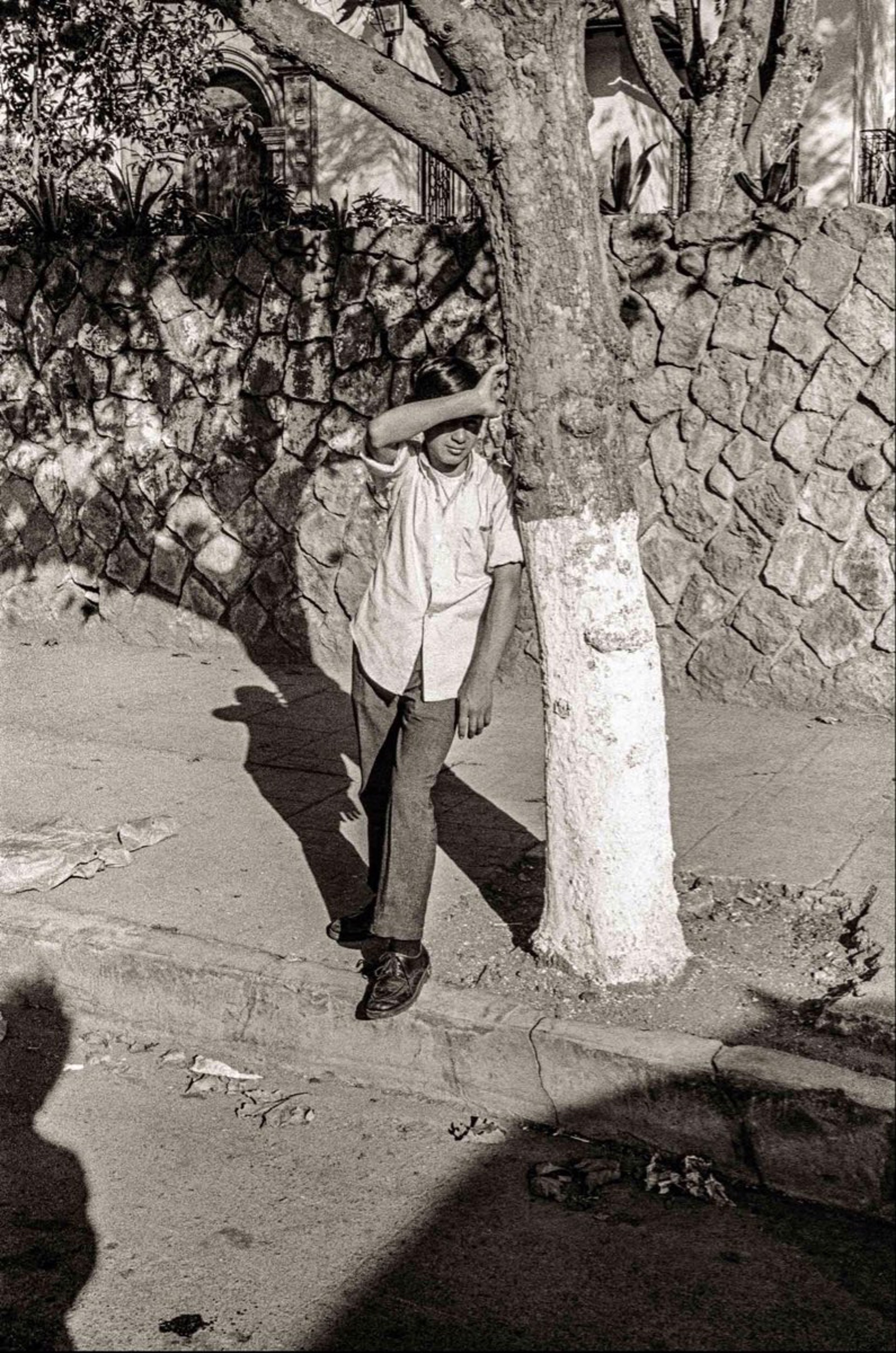 Boy, Tree Shadows, Unframed (011) by Jack Dempsey