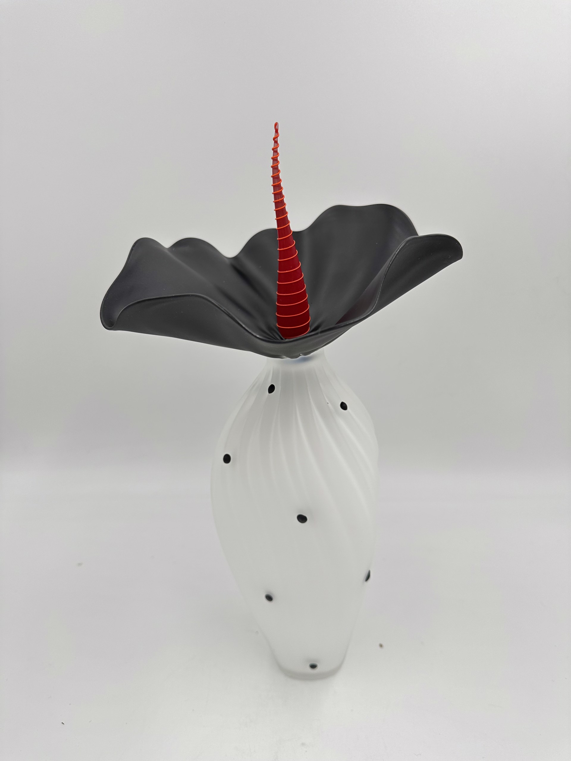 Bobtanical Tall - White/Black & Red by Kliszewski Glass