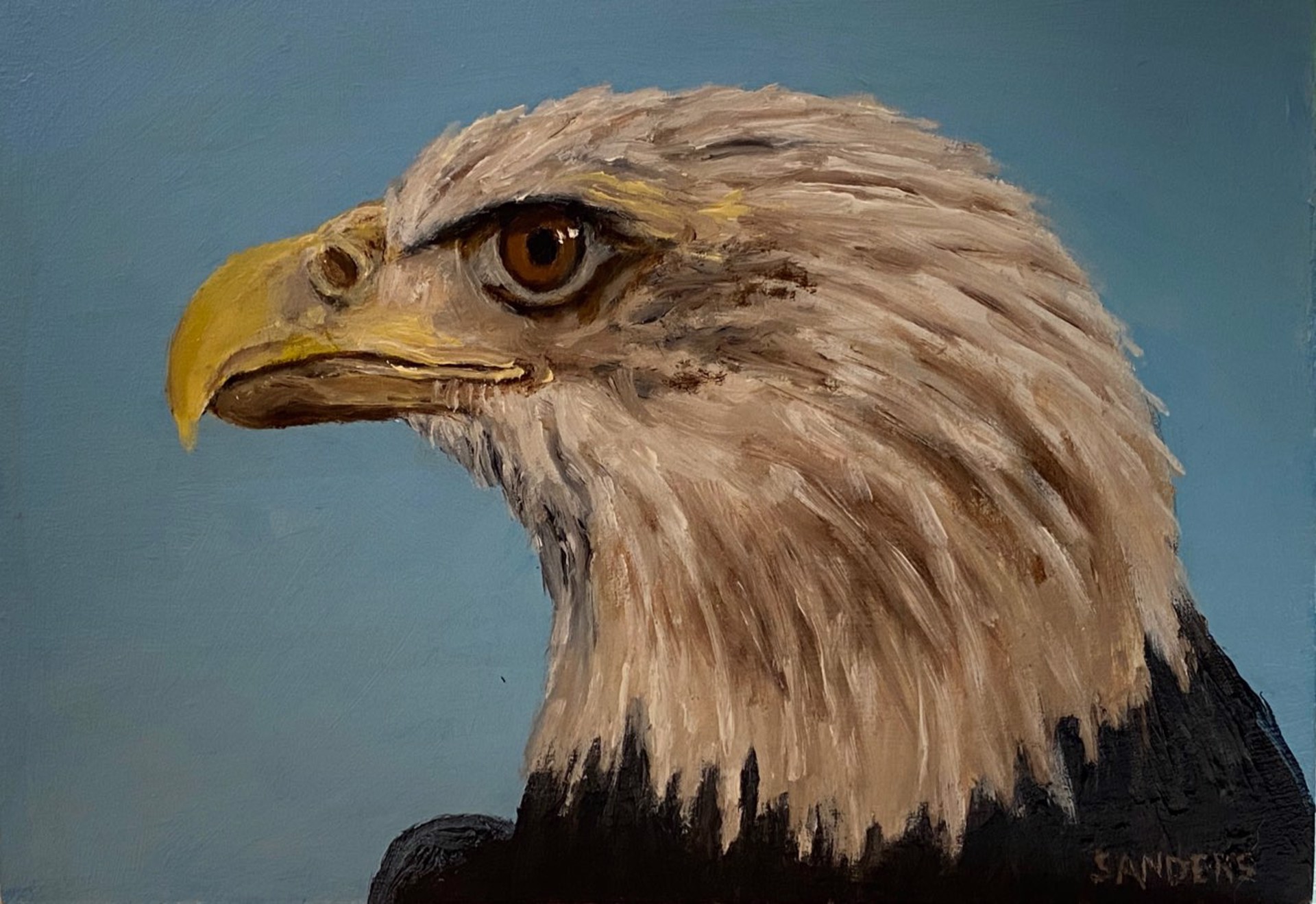 American Bald Eagle by Rick Sanders