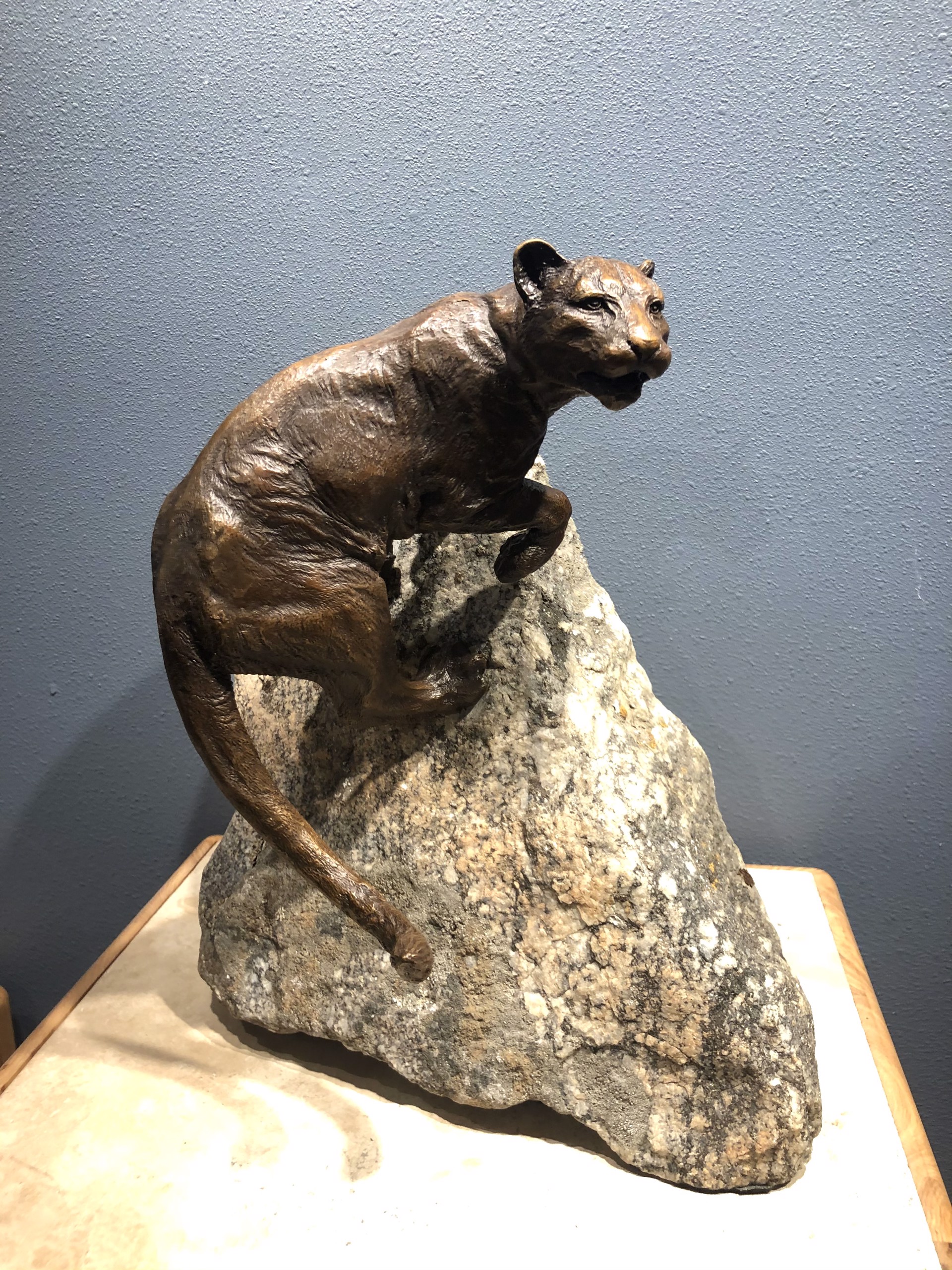 Rimrock Cougar by Tim Whitworth