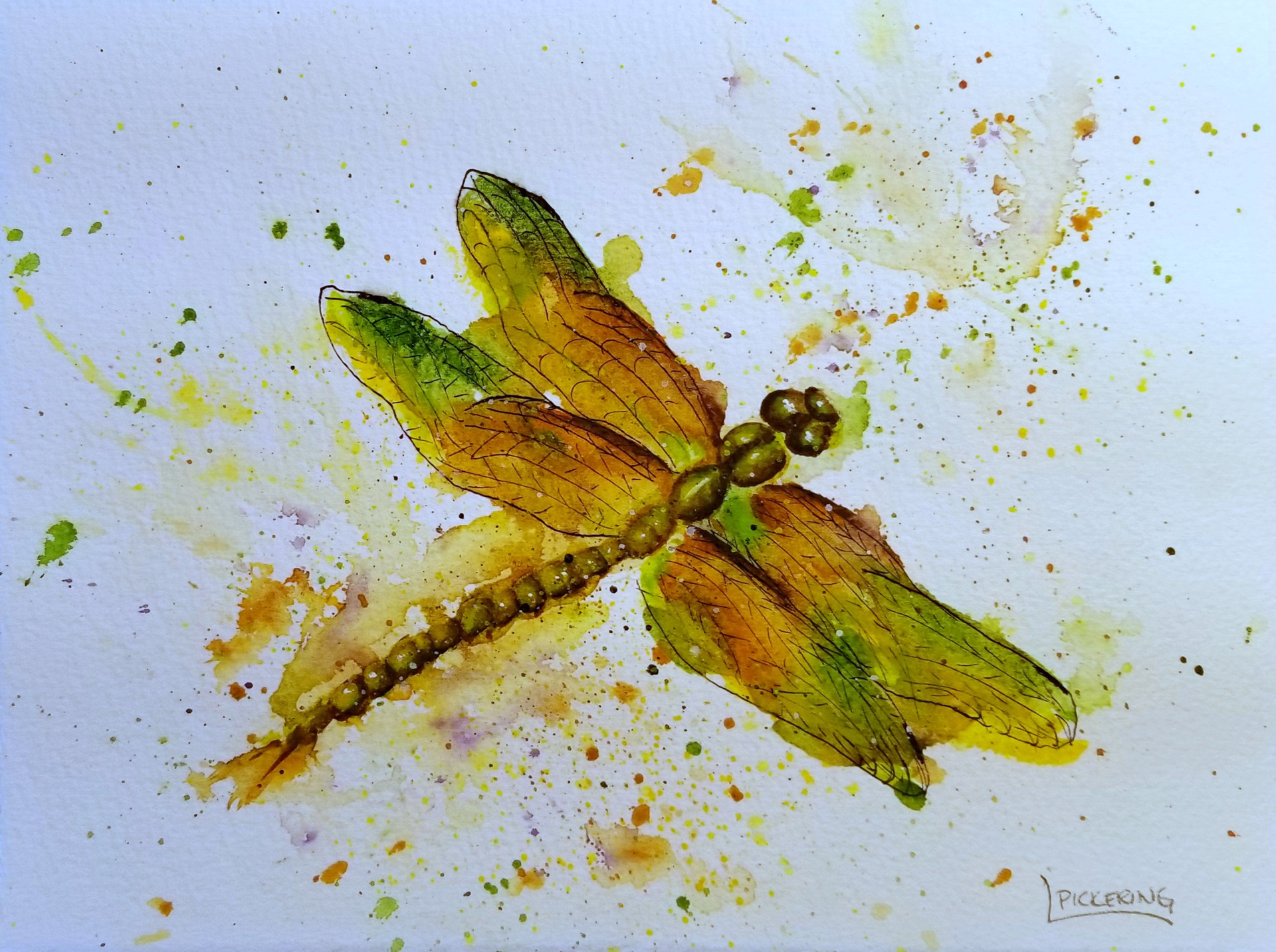 Golden Green Dragonfly by Laura Pickering