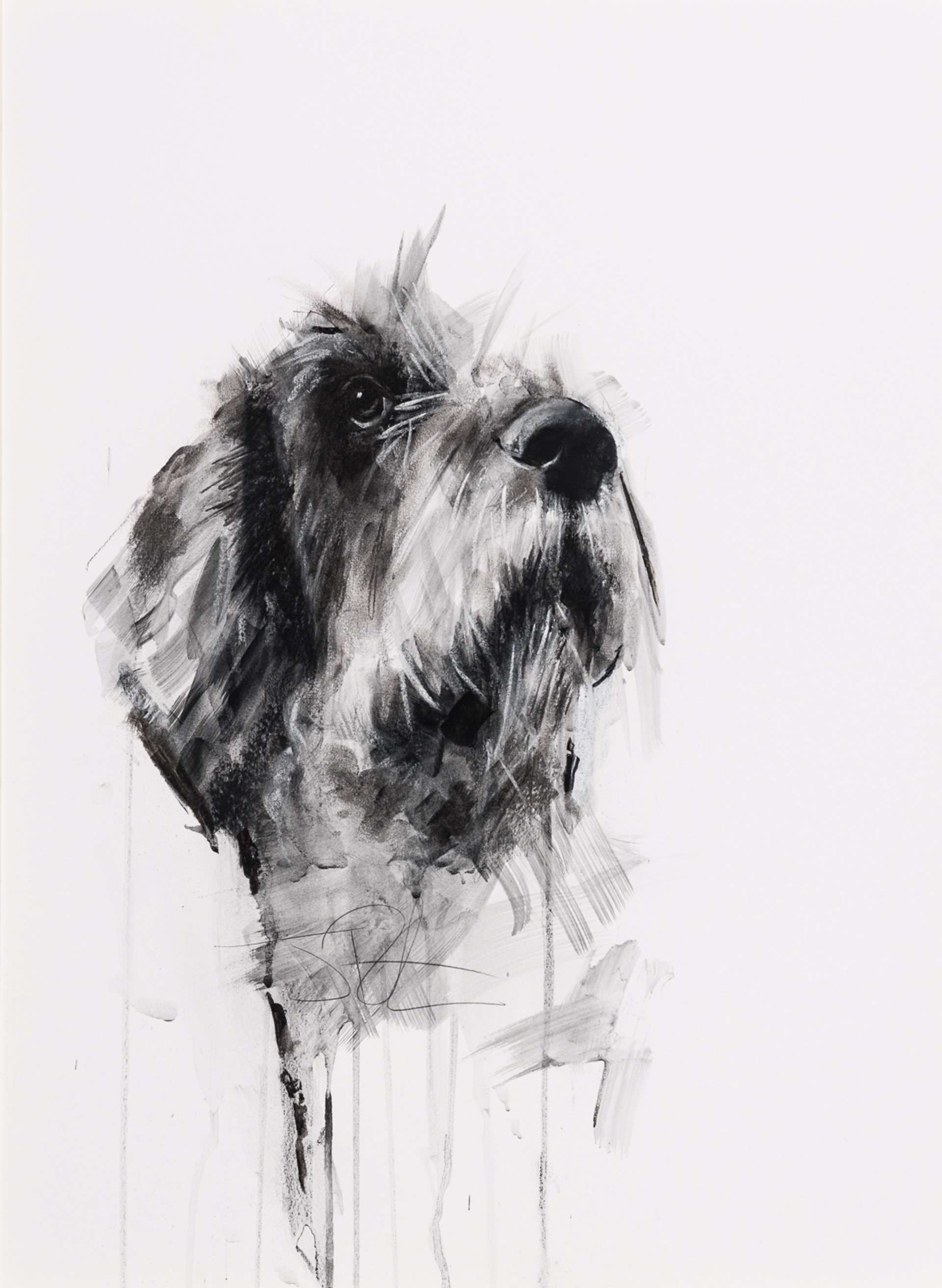 WIRE HAIRED by John Rotherham