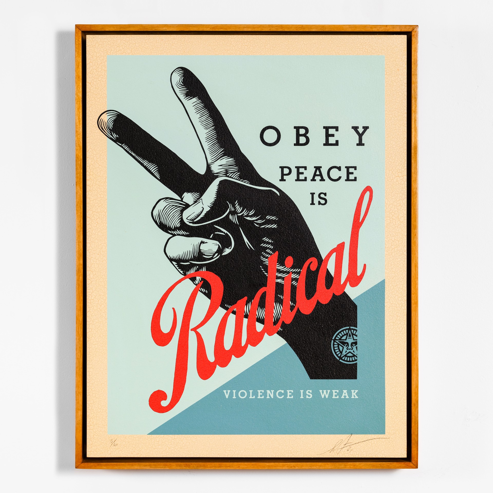 Radical Piece by Shepard Fairey / Limited editions