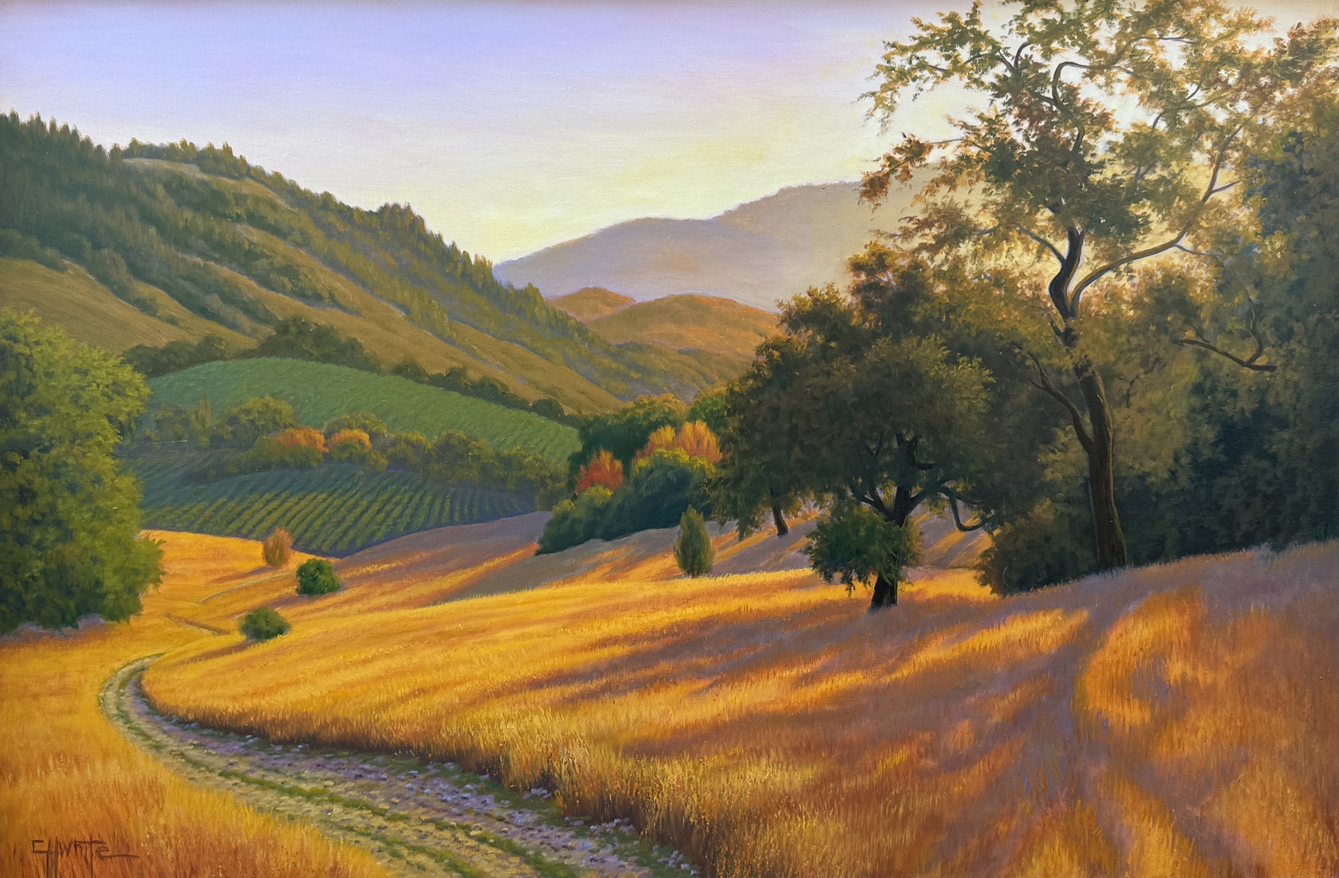 Late Afternoon in Sonoma by Charles White
