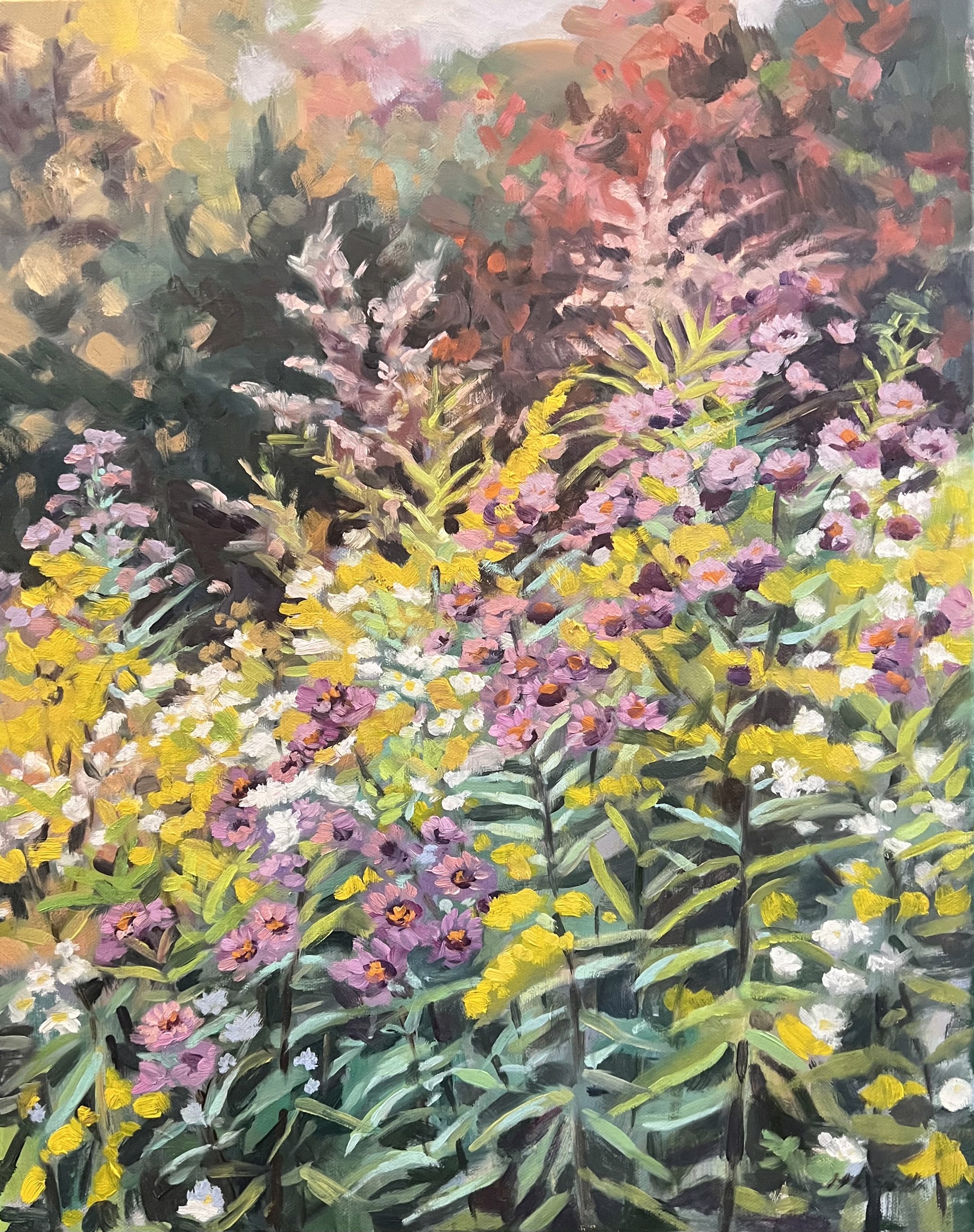 Wild Asters and Golden Rod by Holly L. Smith