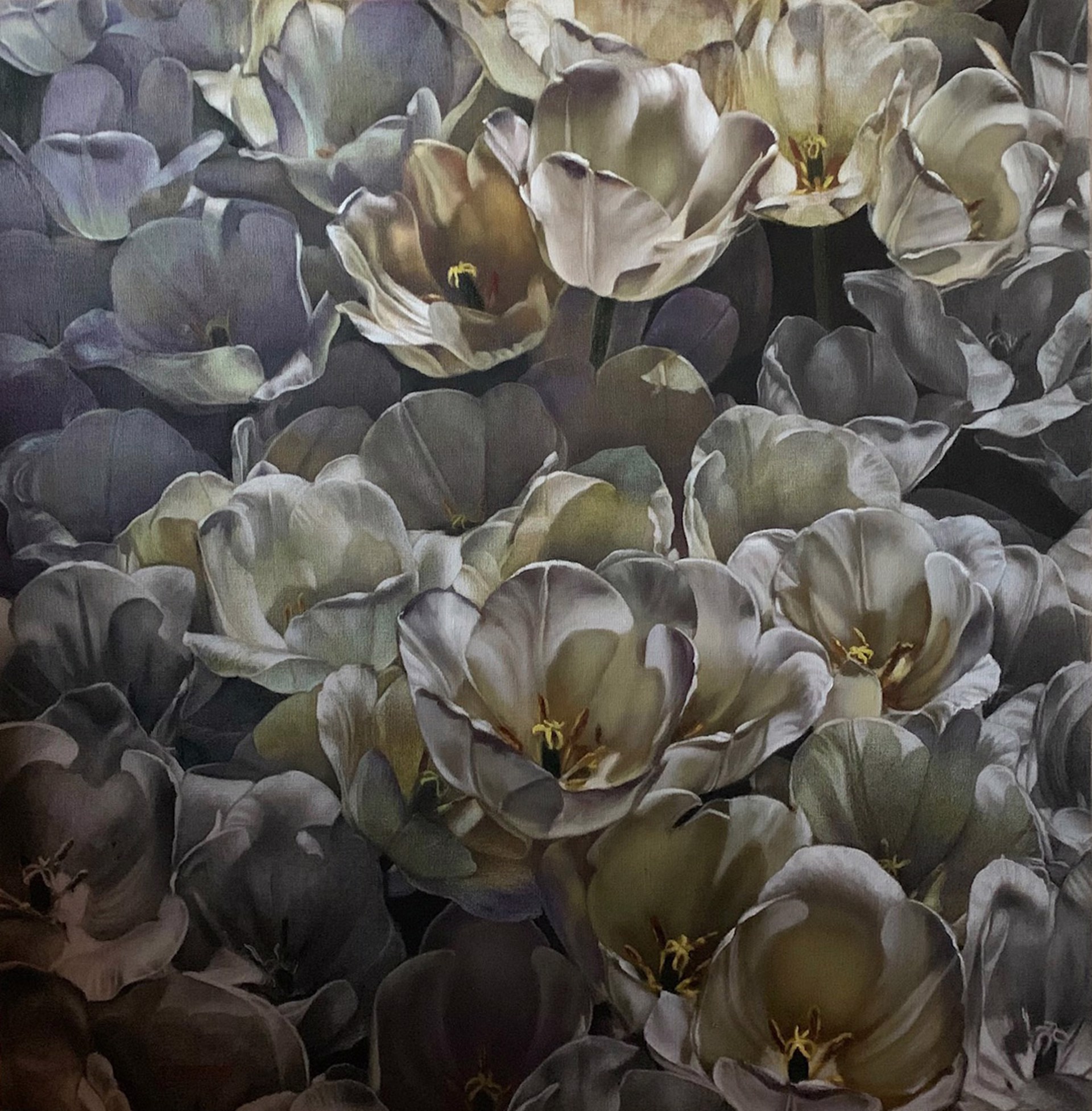 Tulips by Larissa Morais