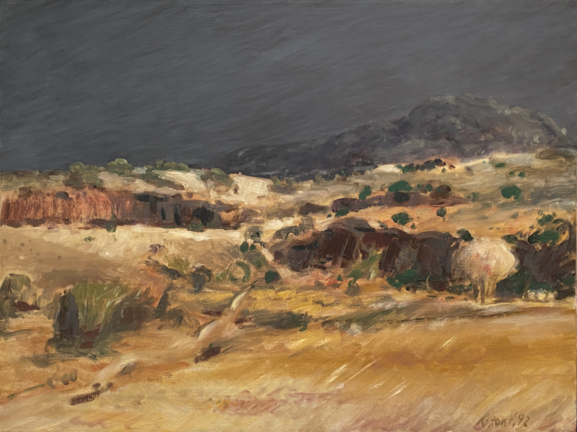 Untitled, Big Bend by Richard Stout - Early Works