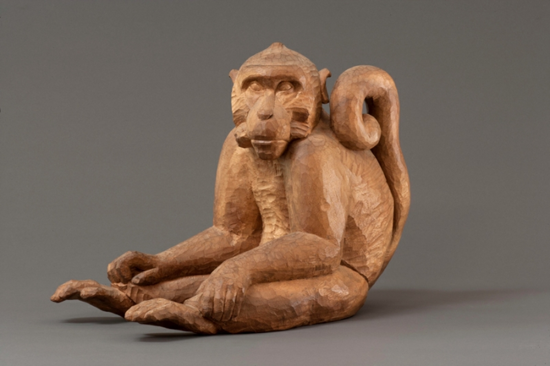 Monkey by Elaine Hanowell
