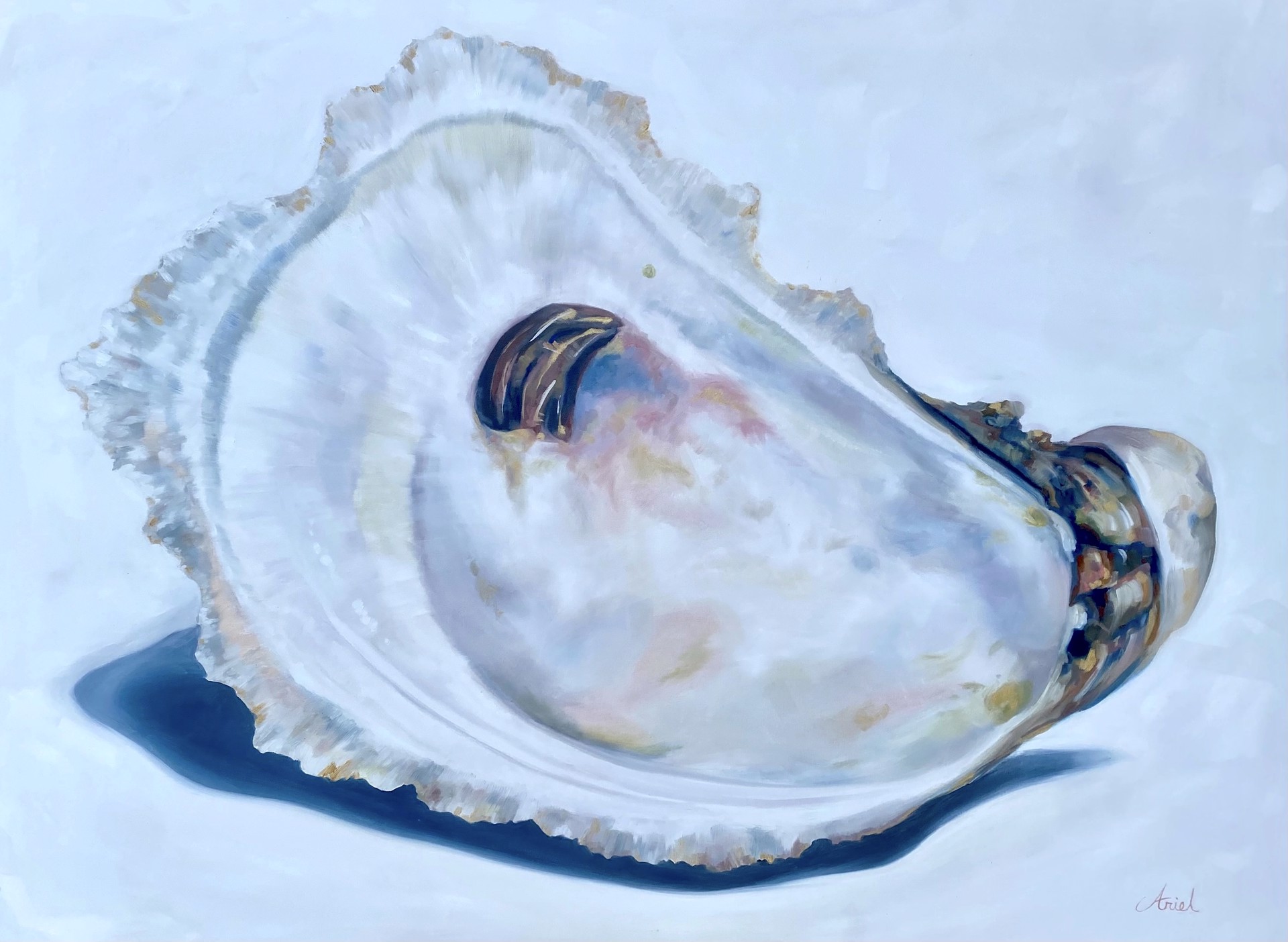 Solo Oyster I by Ariel Harder