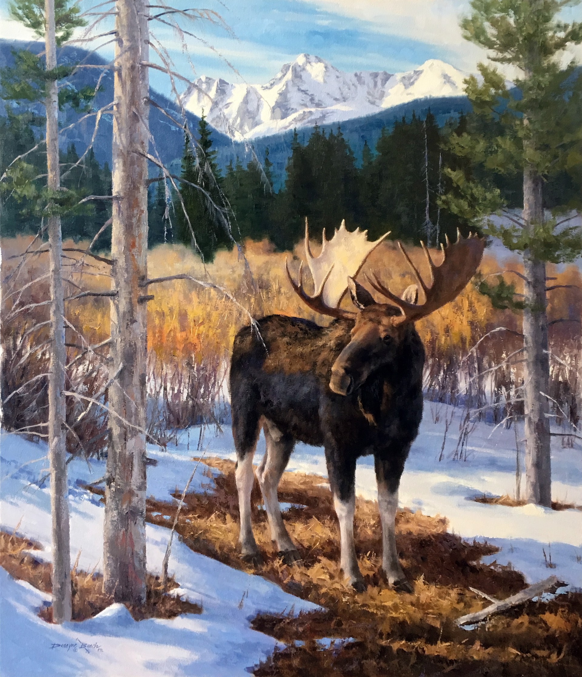 Among the Willows (Moose) by Dwayne Brech