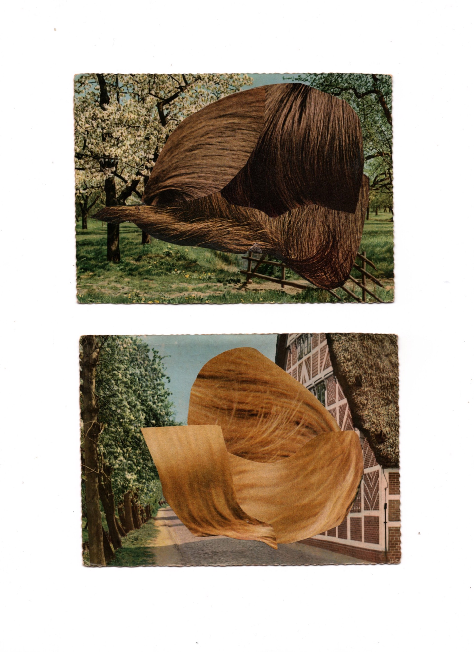 Hair Landscapes by Danielle Iemola