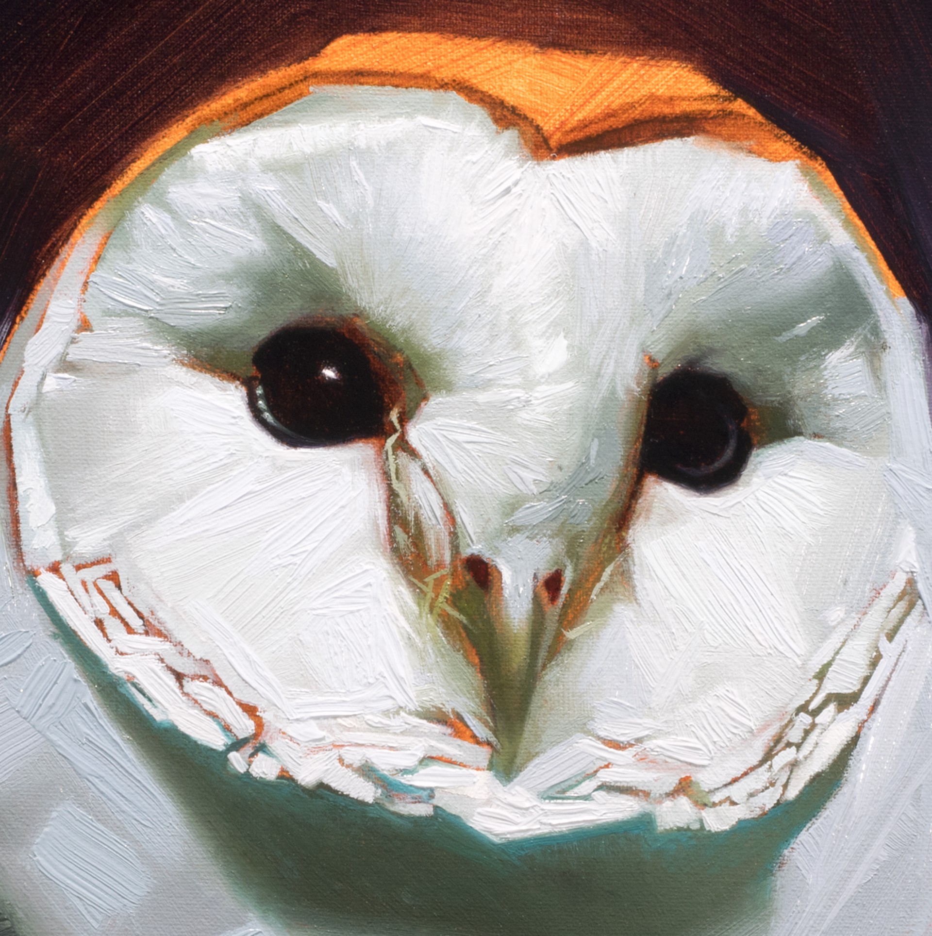 Barn Owl by Jess Wathen