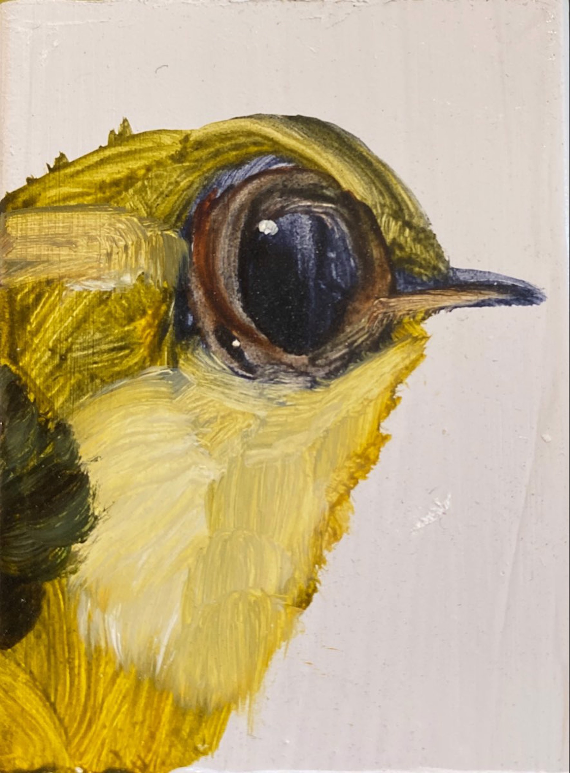 Bird Block, 2023 by Diane Kilgore Condon