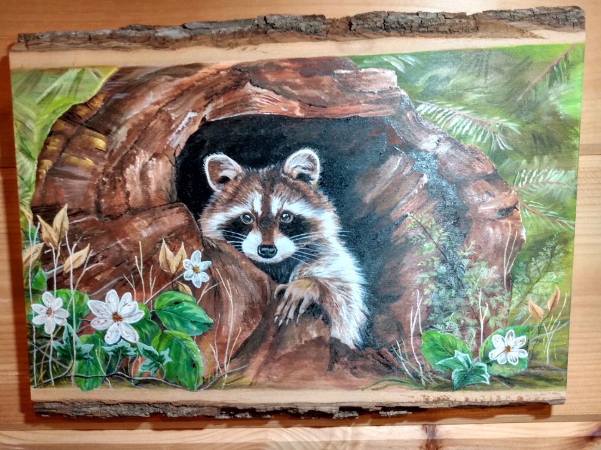 Young Raccoon in Spring by Cindy Cranor