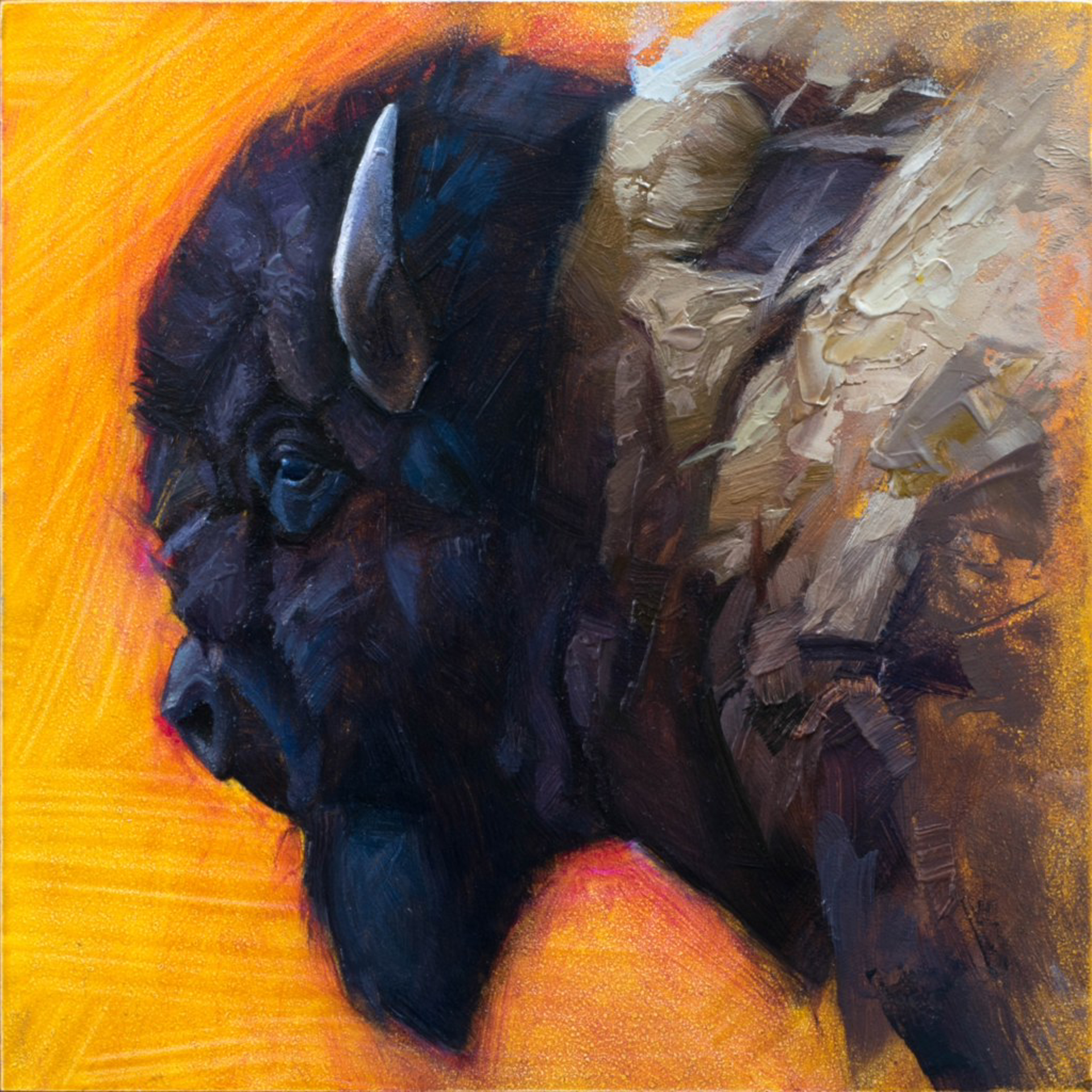 Buffalo by Jess Wathen