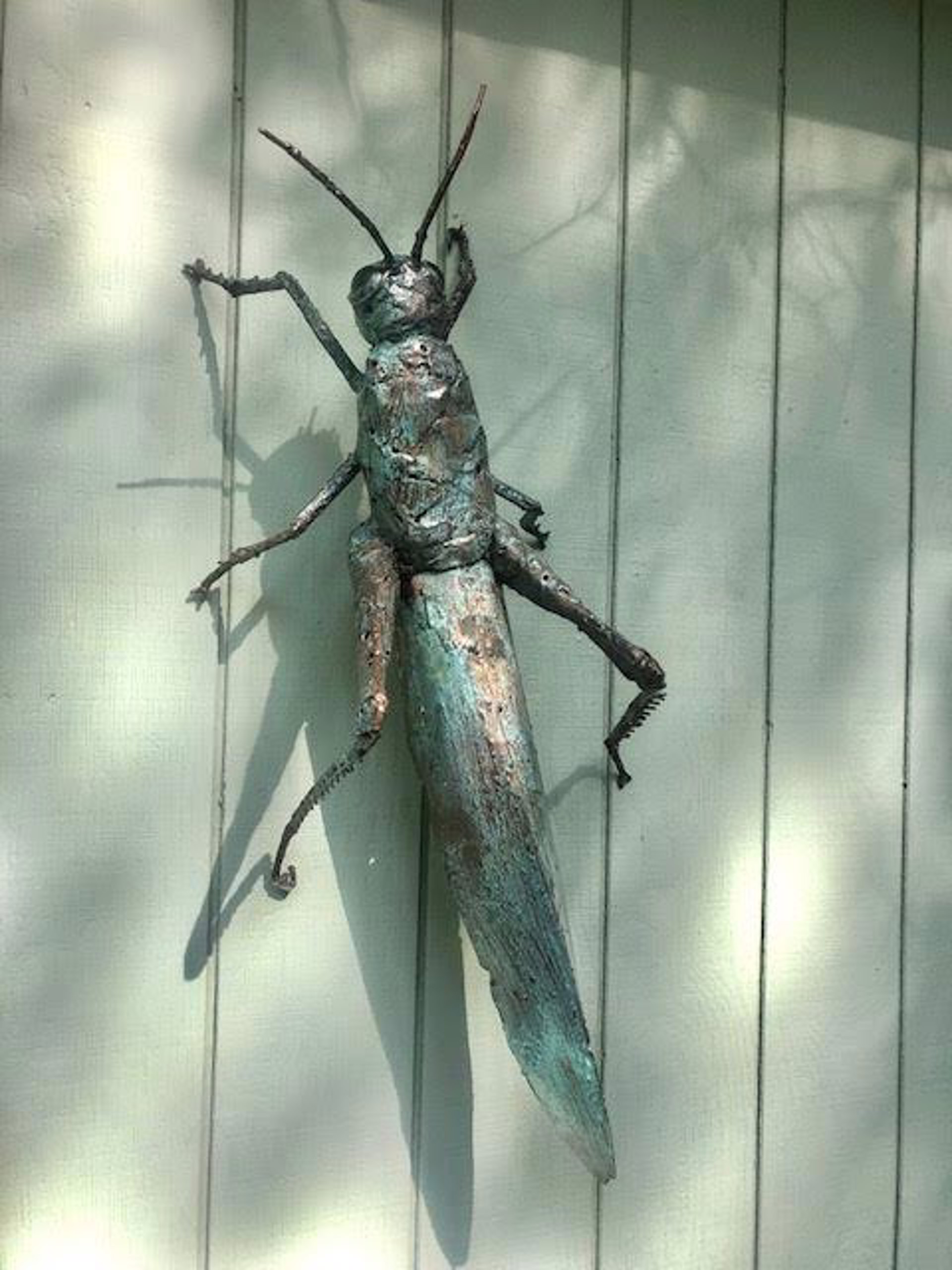 Grasshopper by William Allen