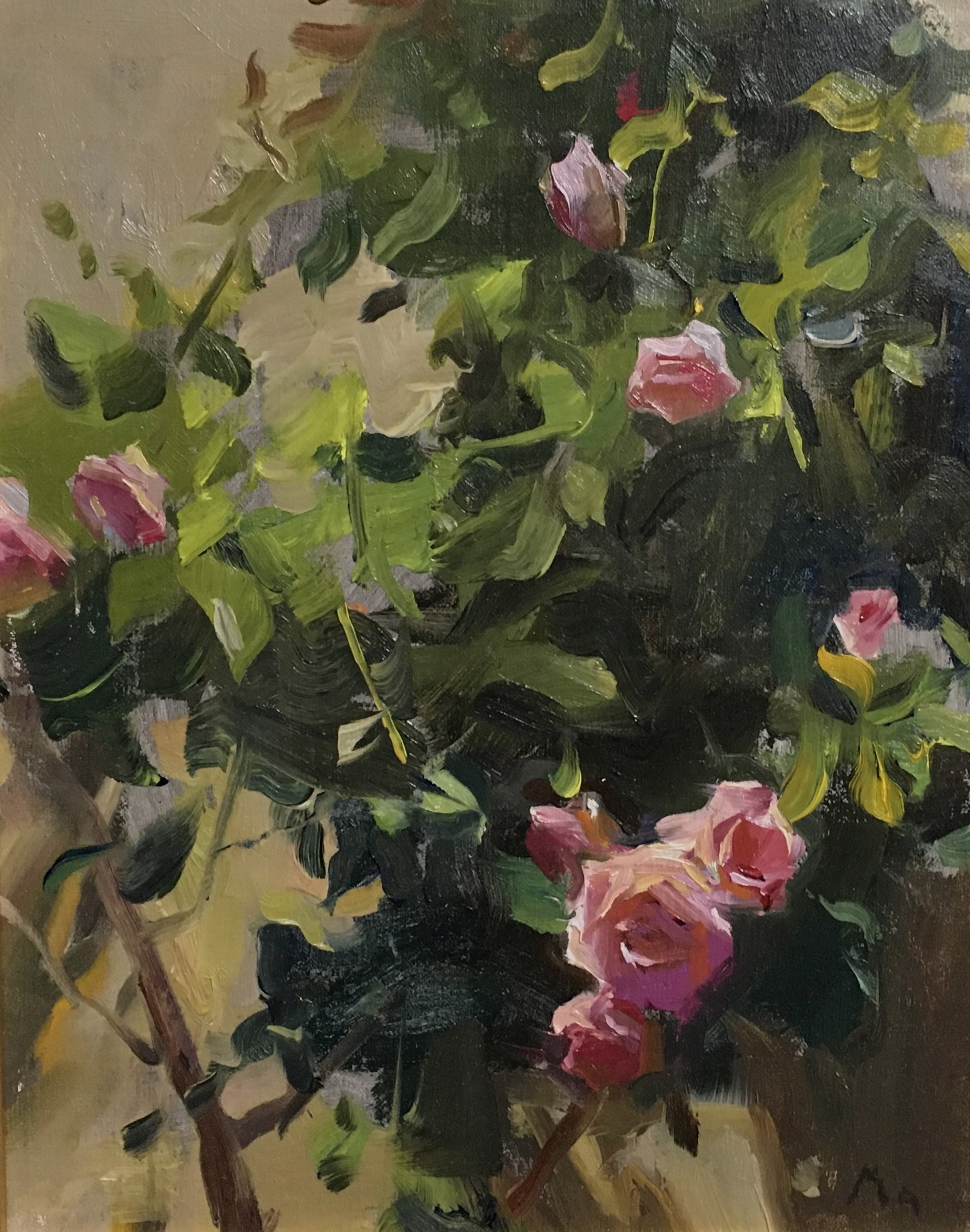 Pink Roses in Provence by Kyle Ma