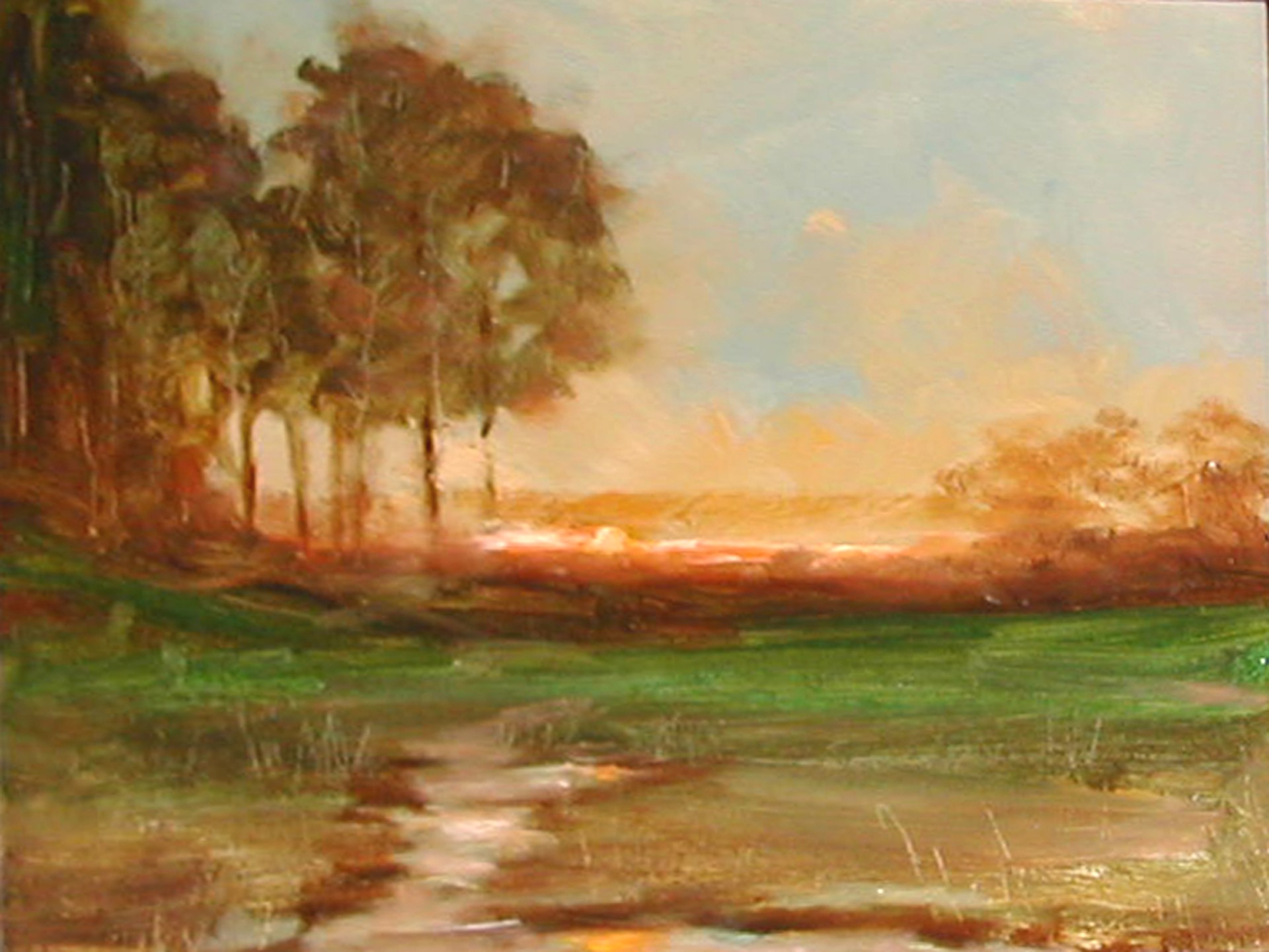 John's Creek by John Reynolds