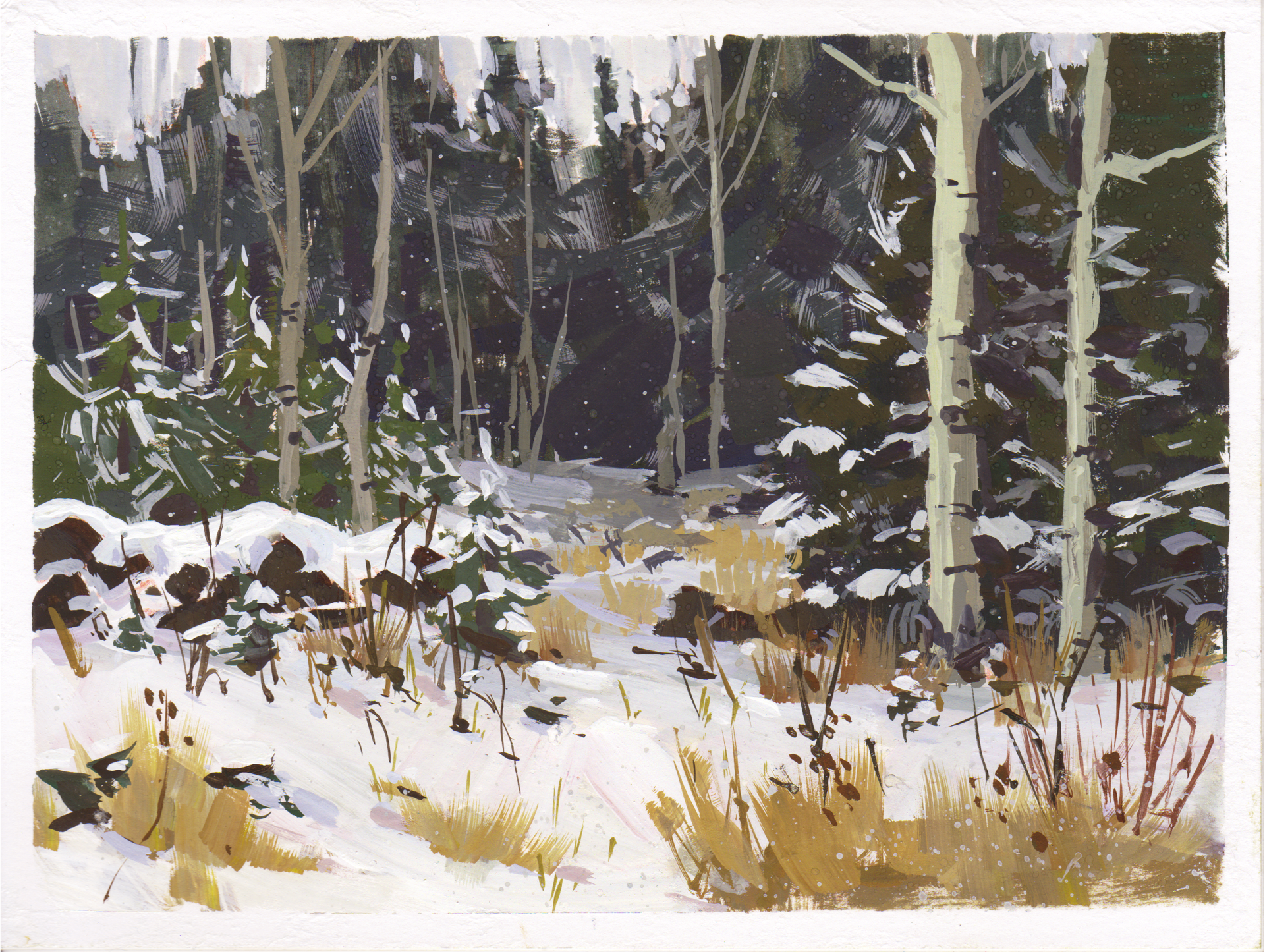 087 - Plein Air-Granby, CO by Judd Mercer