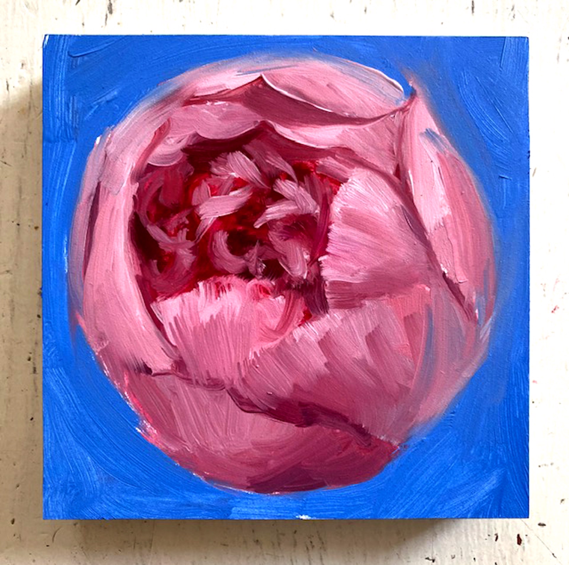 Peony Project #44 by Amy R. Peterson*