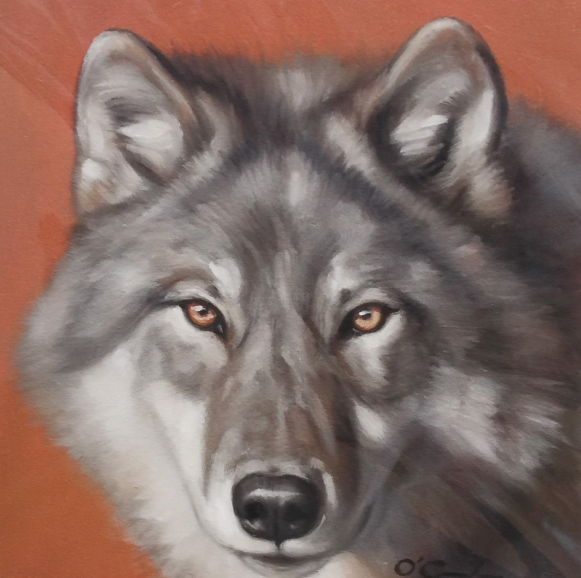 Wolf On Rust by Jennifer O'Cualain