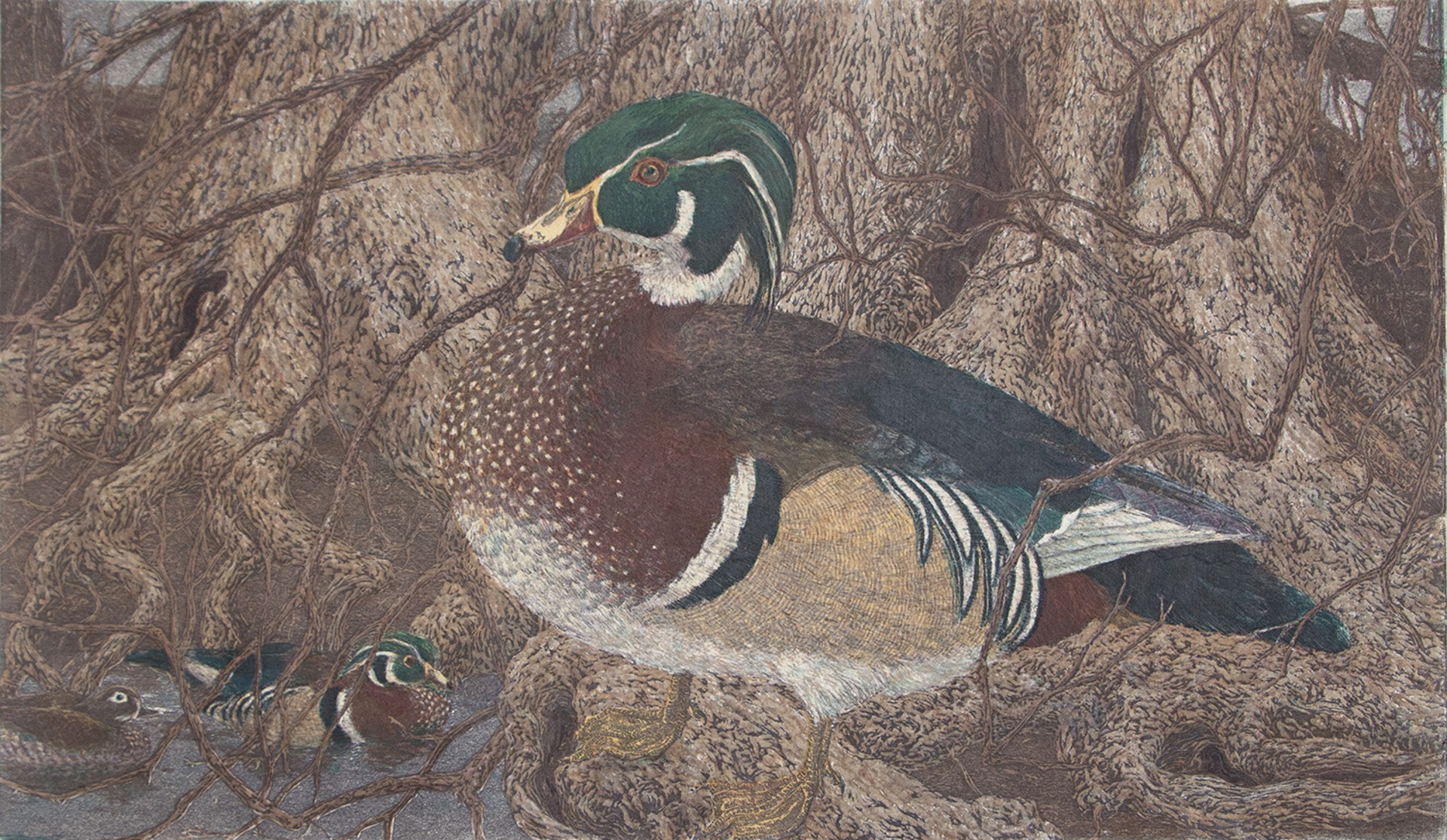 Wood Ducks by Janet Turner