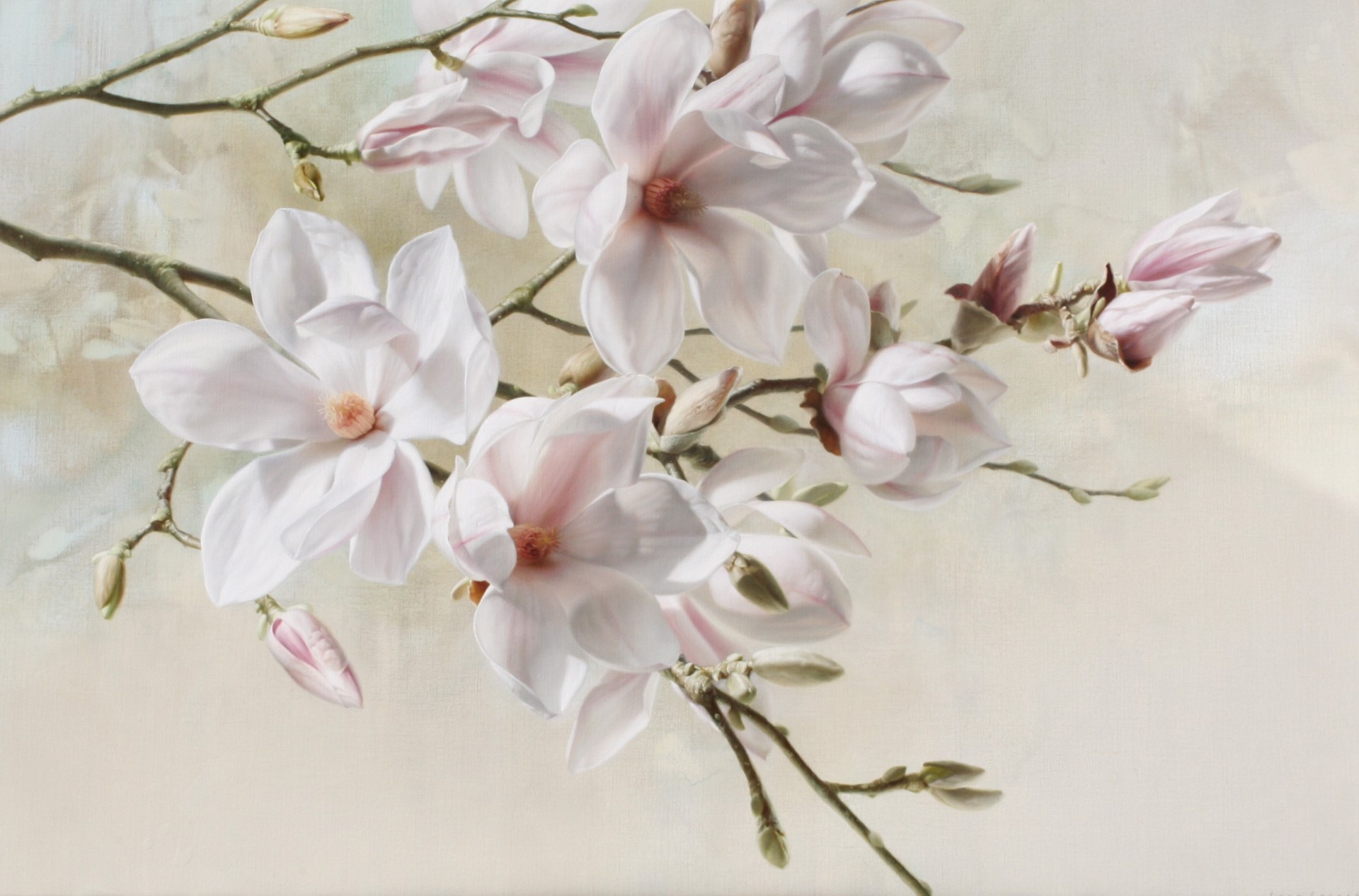 Magnolias by Igor Levashov