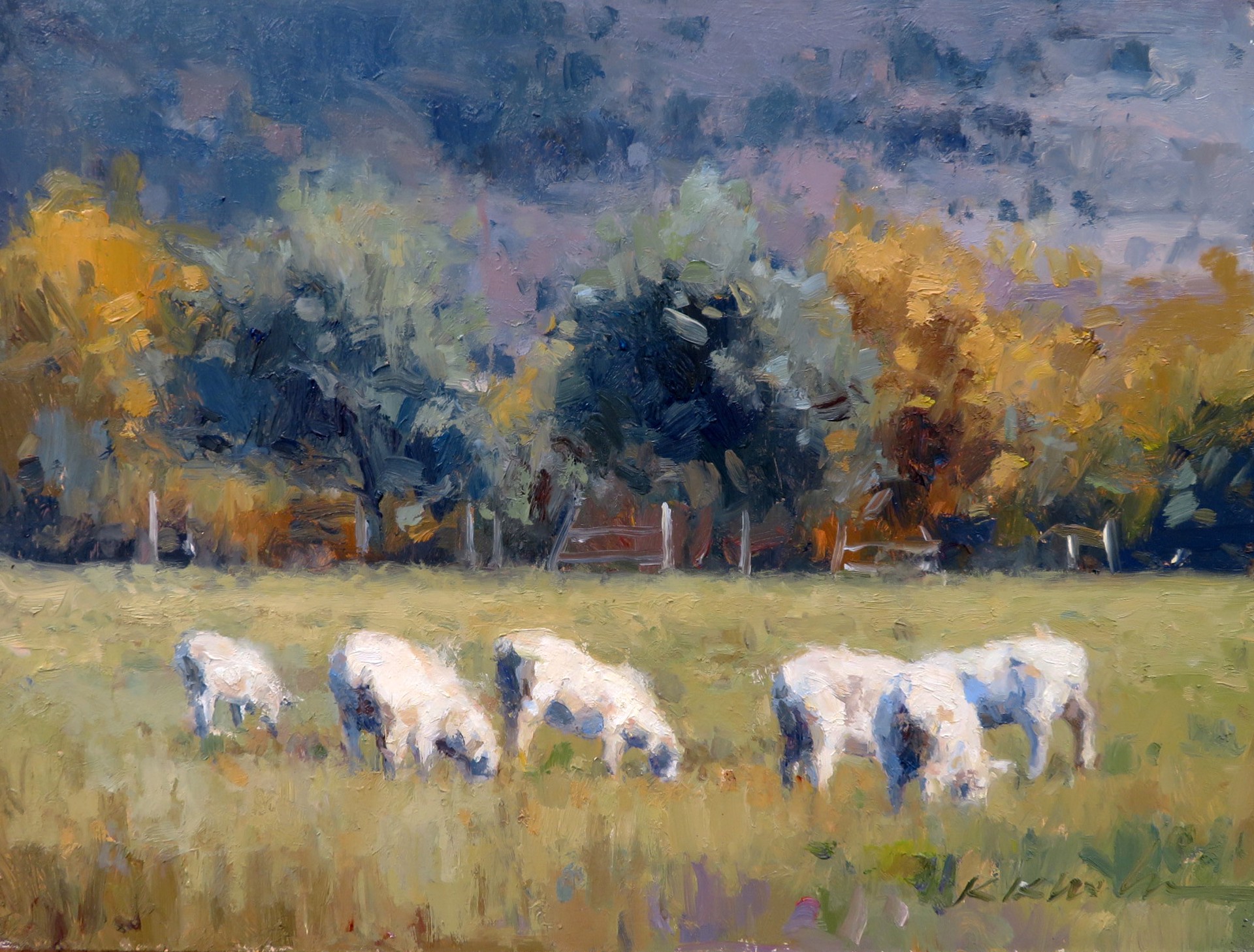 Counting Sheep by Kate Kiesler