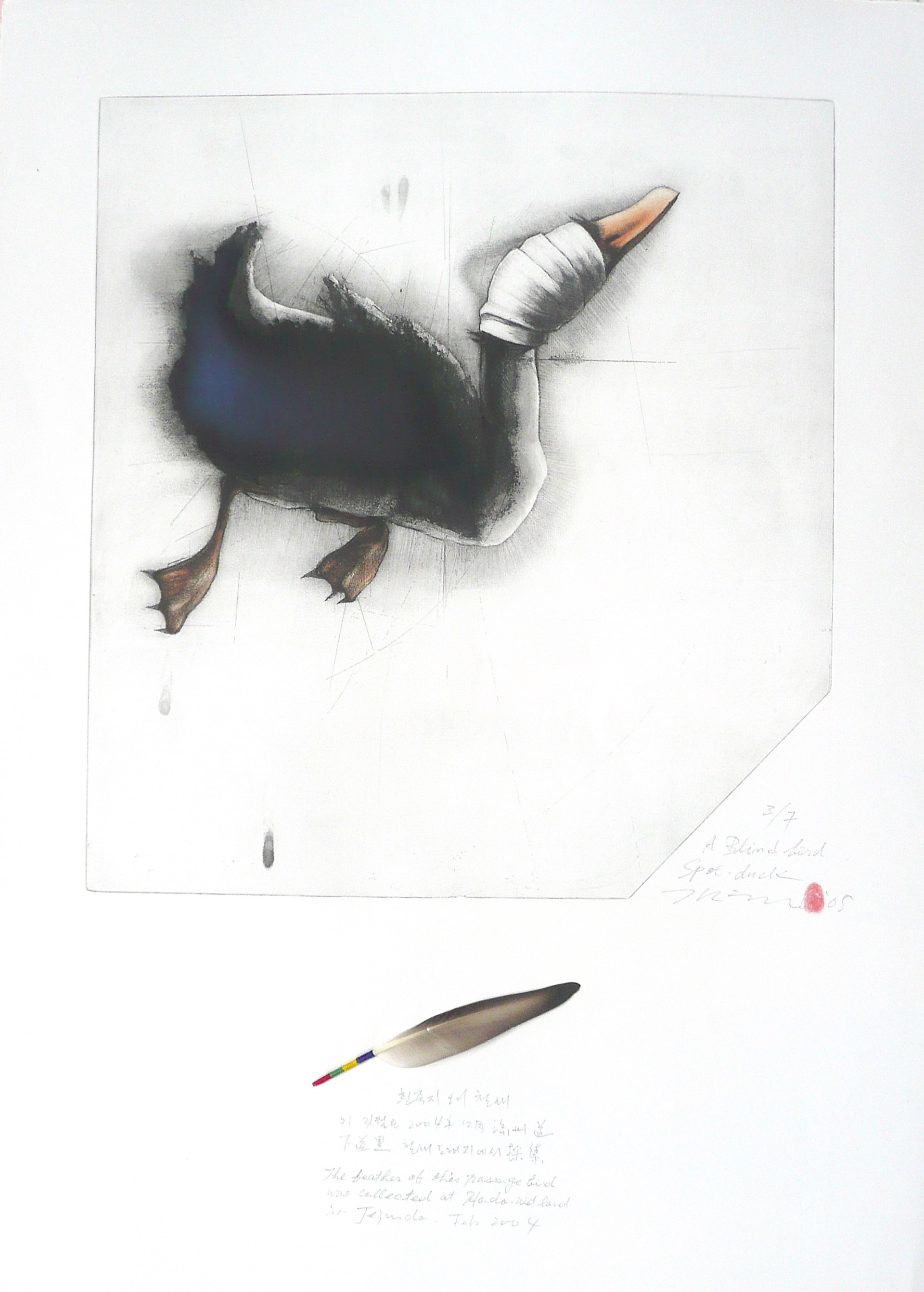 A Blind Bird: Spot Duck (3/7) by Gilchun Koh