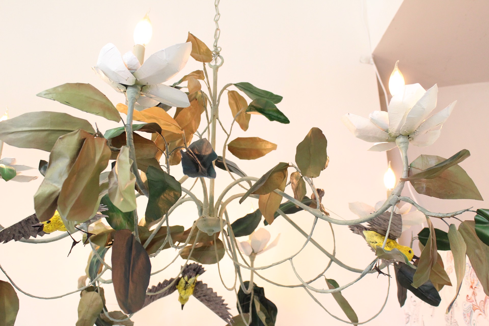 Magnolia by Pippin Frisbie-Calder