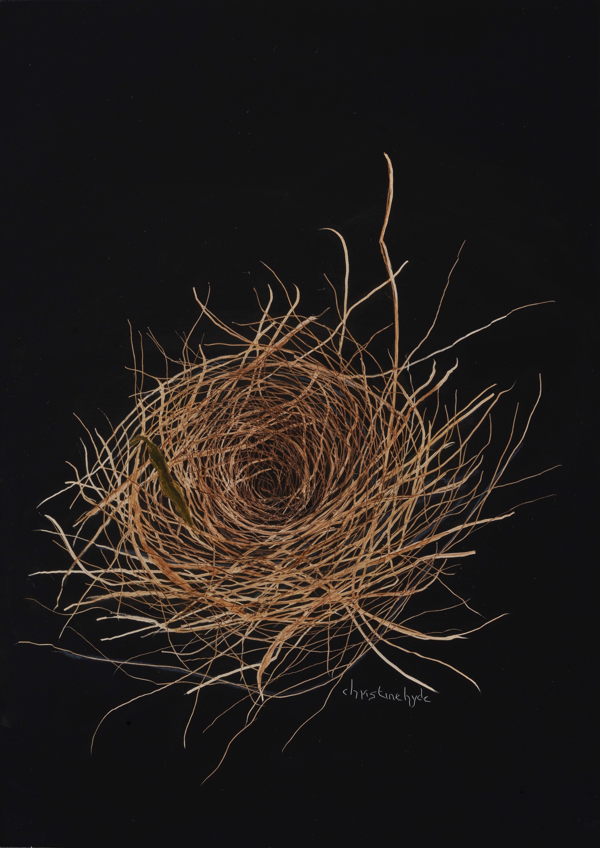 Nest by Christine Hyde