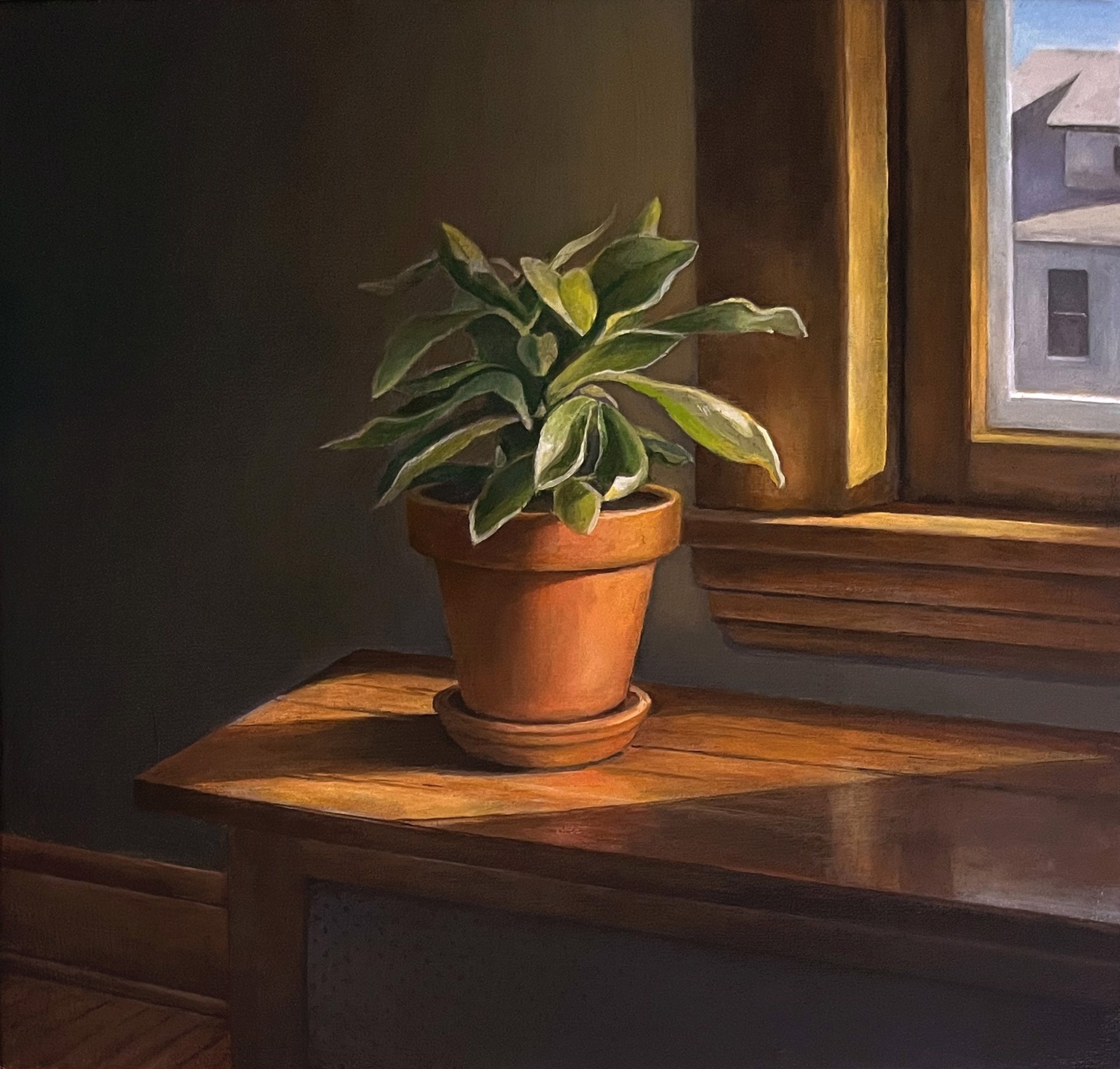 Plant with House in Window by Michael Banning
